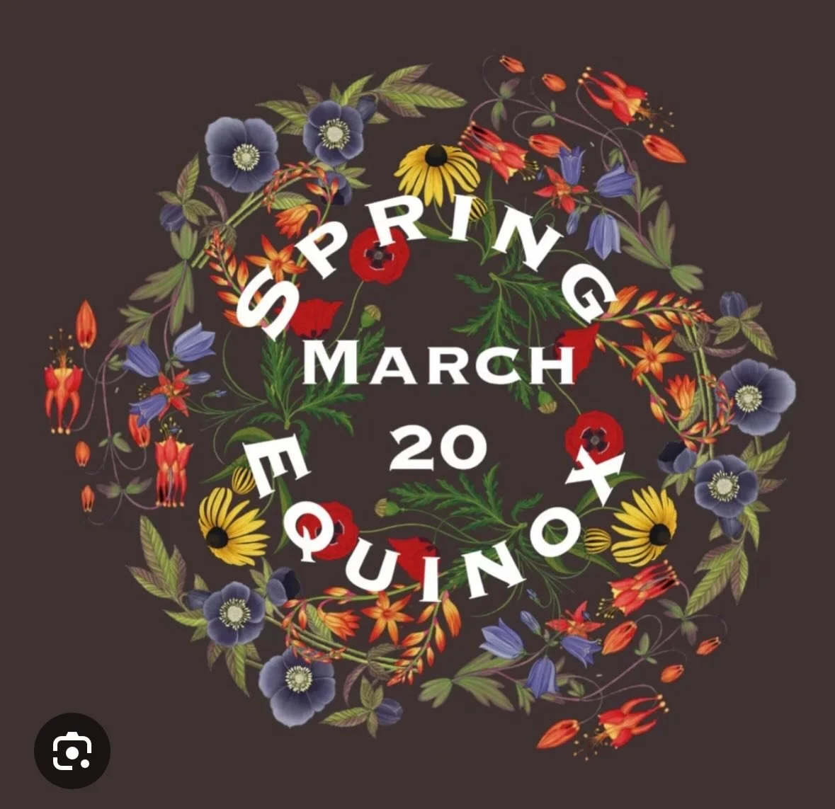 Happy Spring Equinox! Today is important because not only does daylight now overtake the dark, the sun moves into Aires carrying the energy of ignition &amp; forward motion. Also, Mercury Retrograde ends &amp; stations direct again, bringing progress