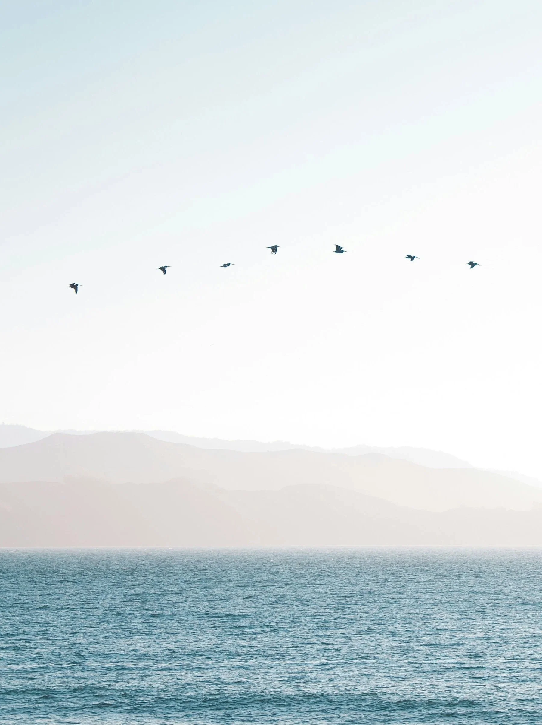A scene with a body of water in the foreground, distant mountain ranges in the background, and a flock of birds flying across the sky.
