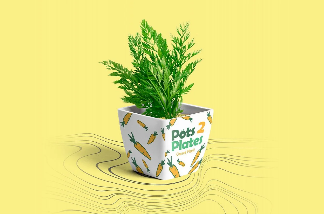 Pots 2 Plates