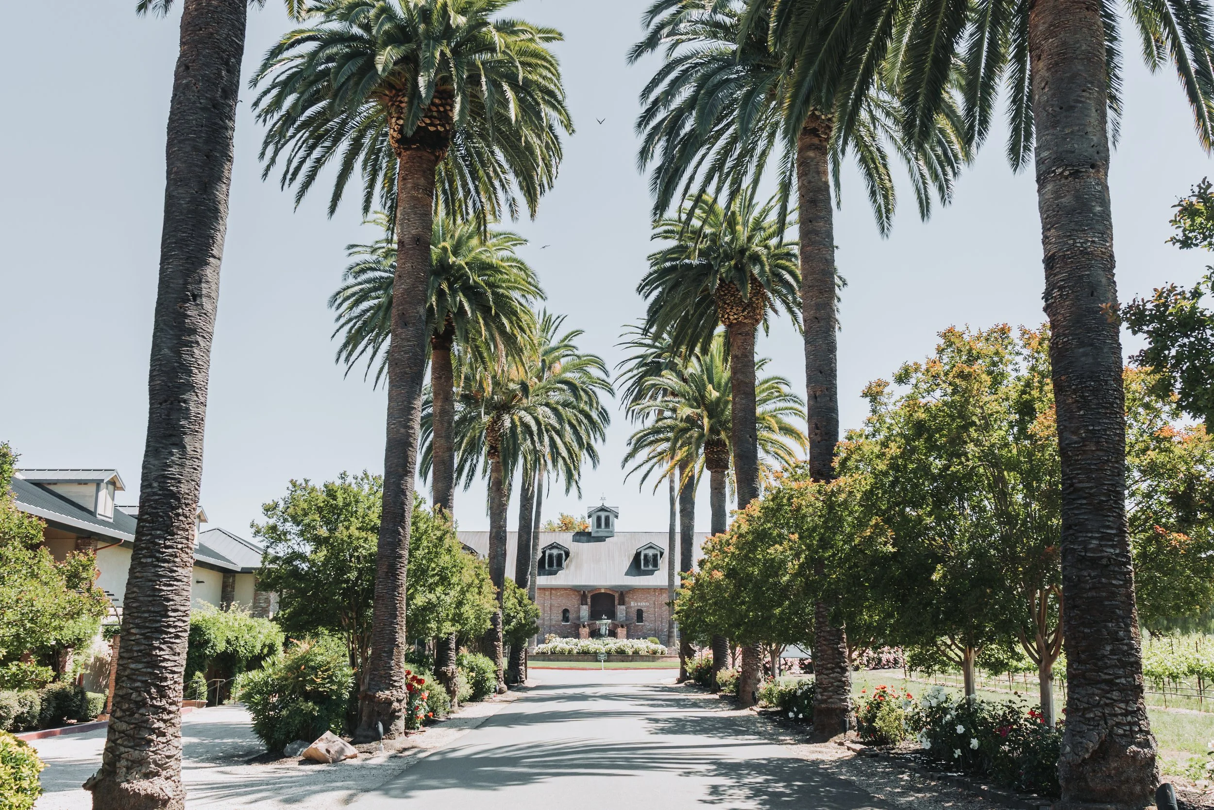 Palm Event Center