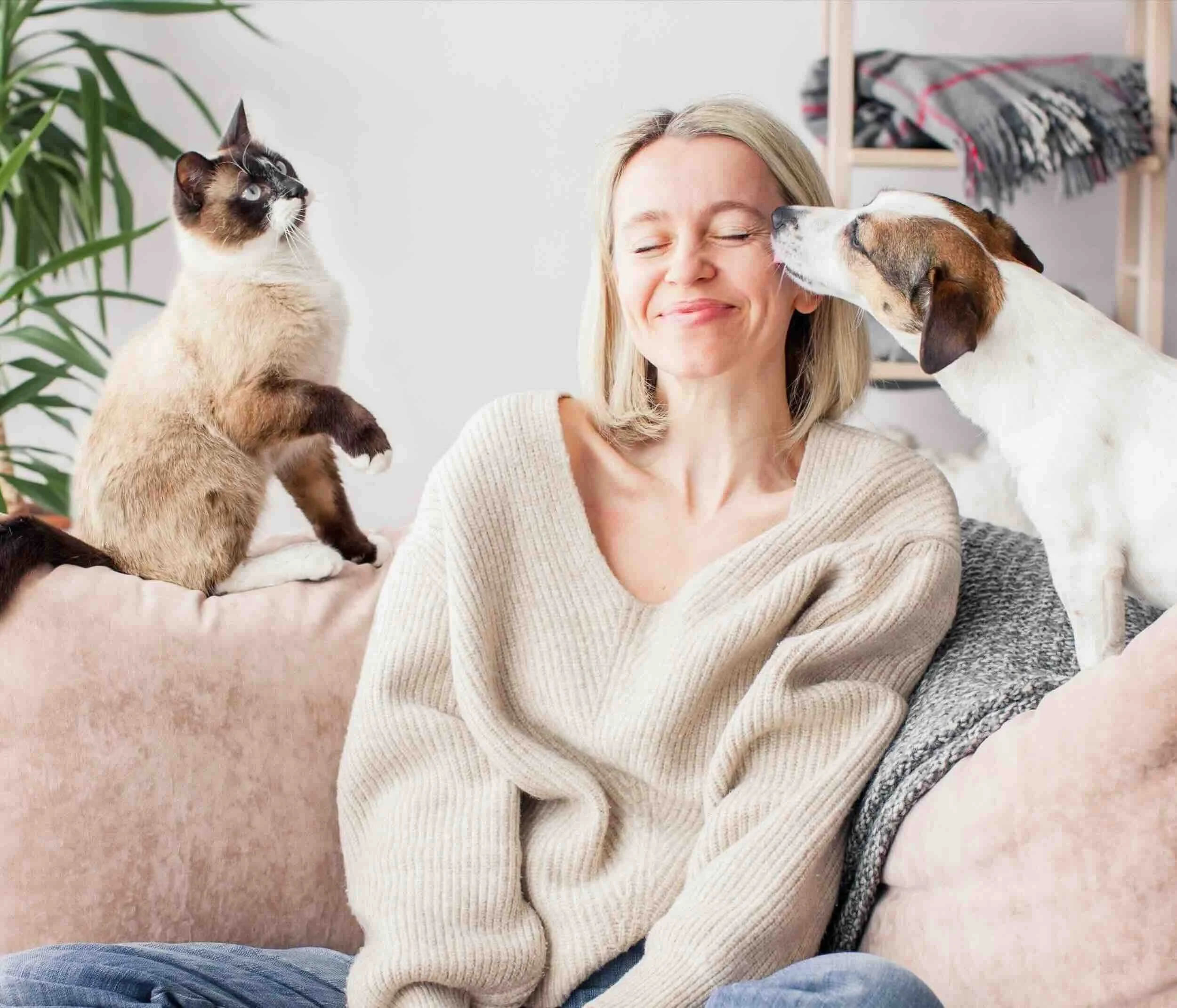 A woman smiling as two dogs and a cat nuzzle her face in a bright living room.