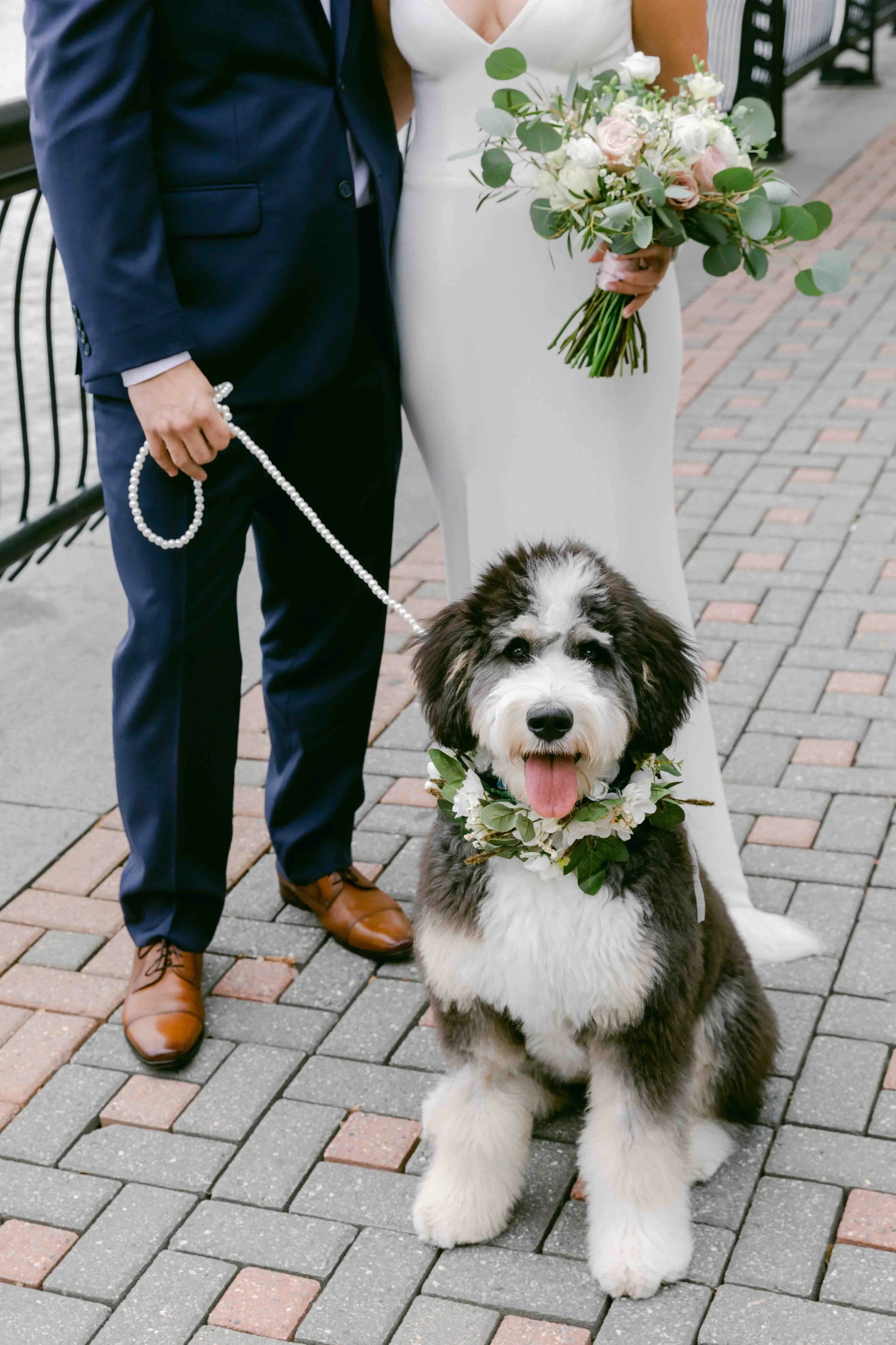 A couple dressed in wedding attire standing on a brick sidewalk, the woman holding a bouquet of flowers, and the man holding a leash attached to an adorable, fluffy black and white dog wearing a floral collar, with this dog sitting and sticking out its tongue.