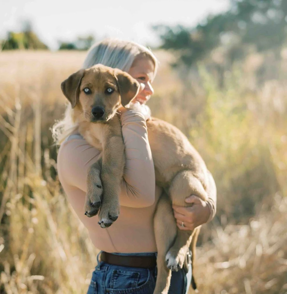 paiges pet care pet sitter paige