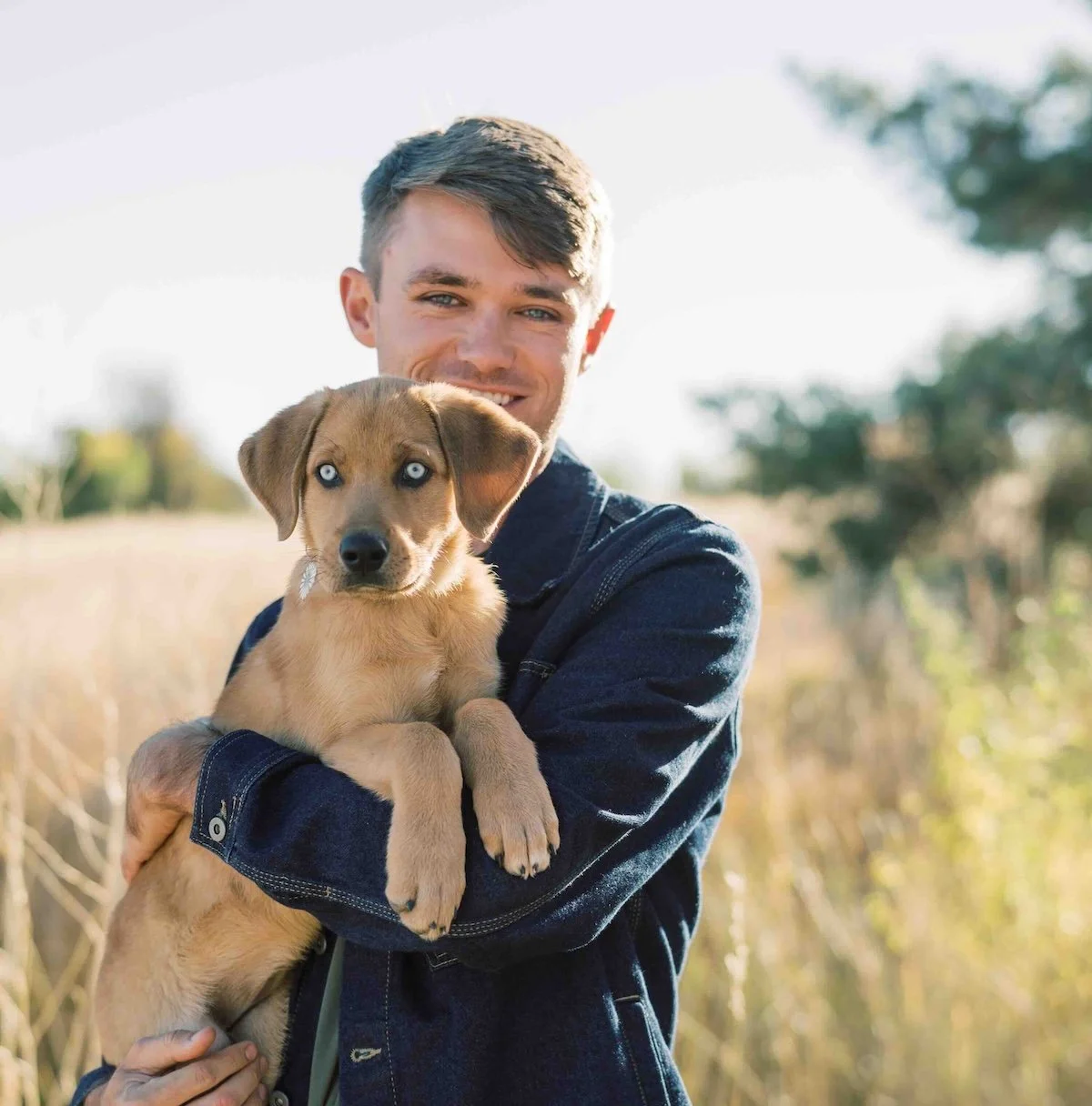 paiges pet care pet sitter max