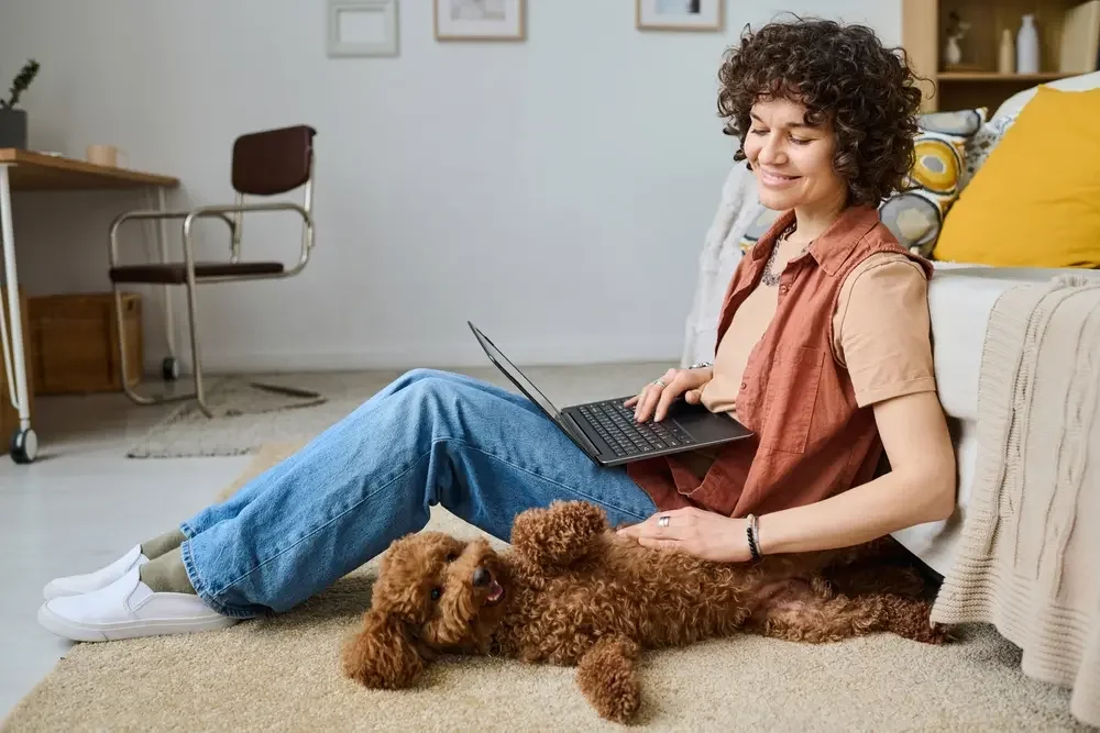Pet sitter working from home while spending time with a relaxed dog