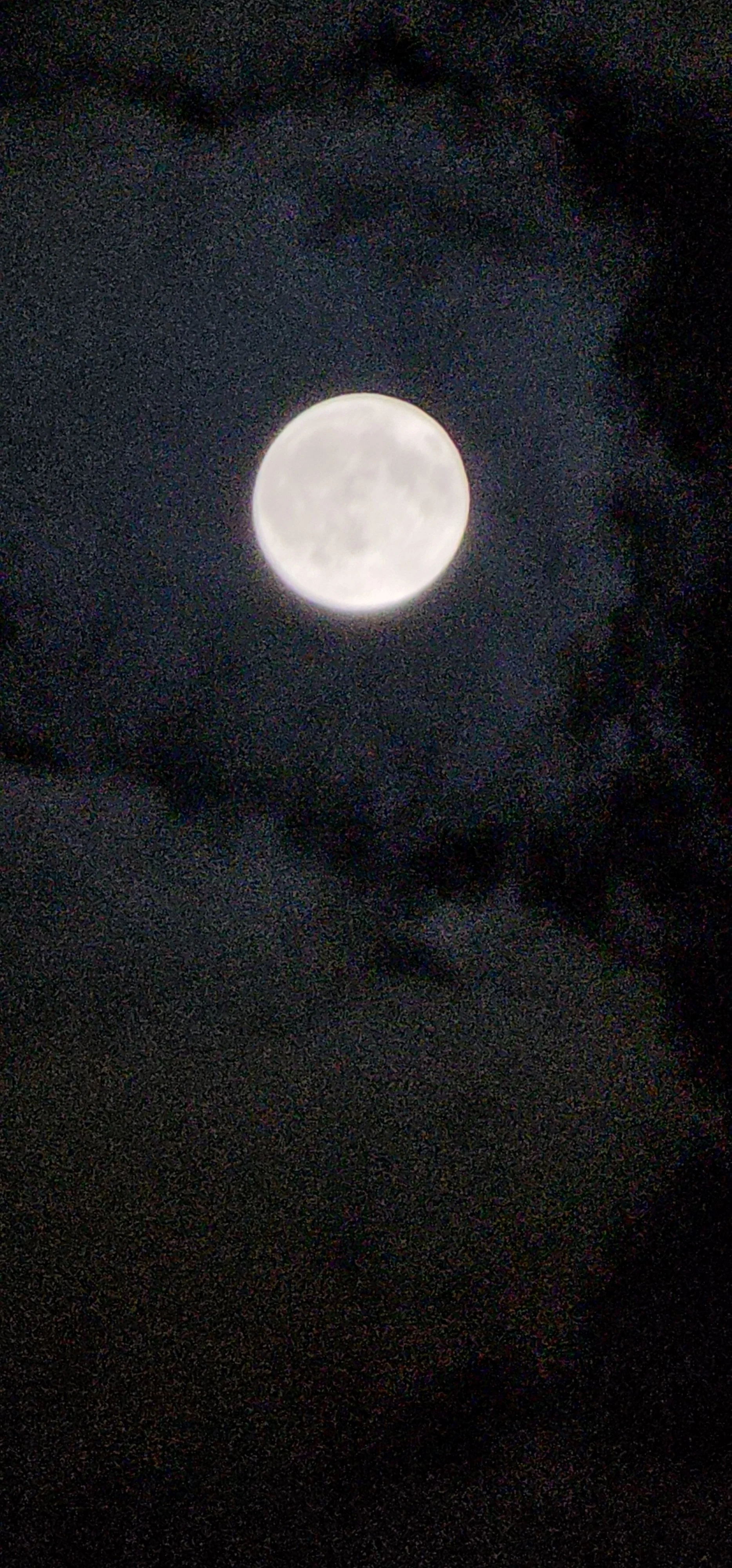 20251006_225443.jpg