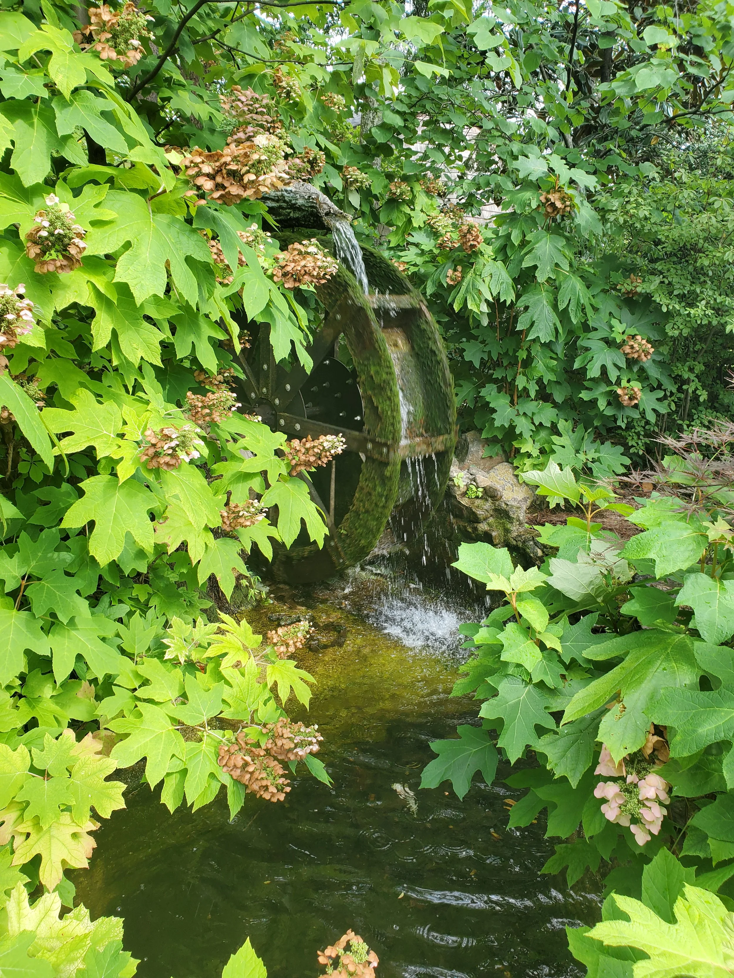 20200730_171059.jpg