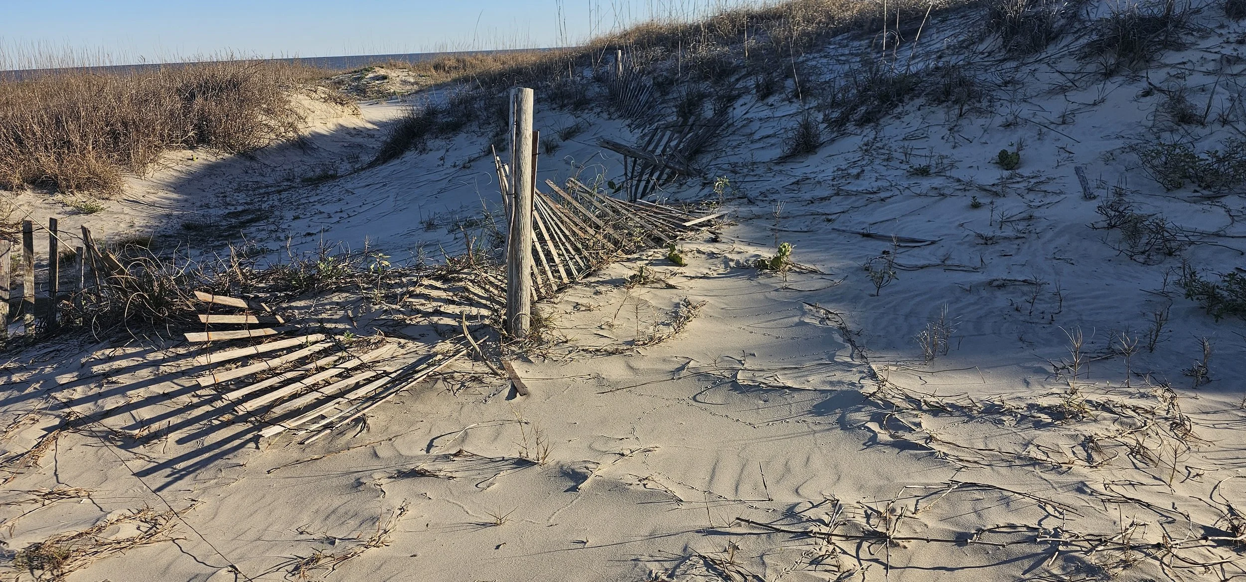 20250318_182909.jpg