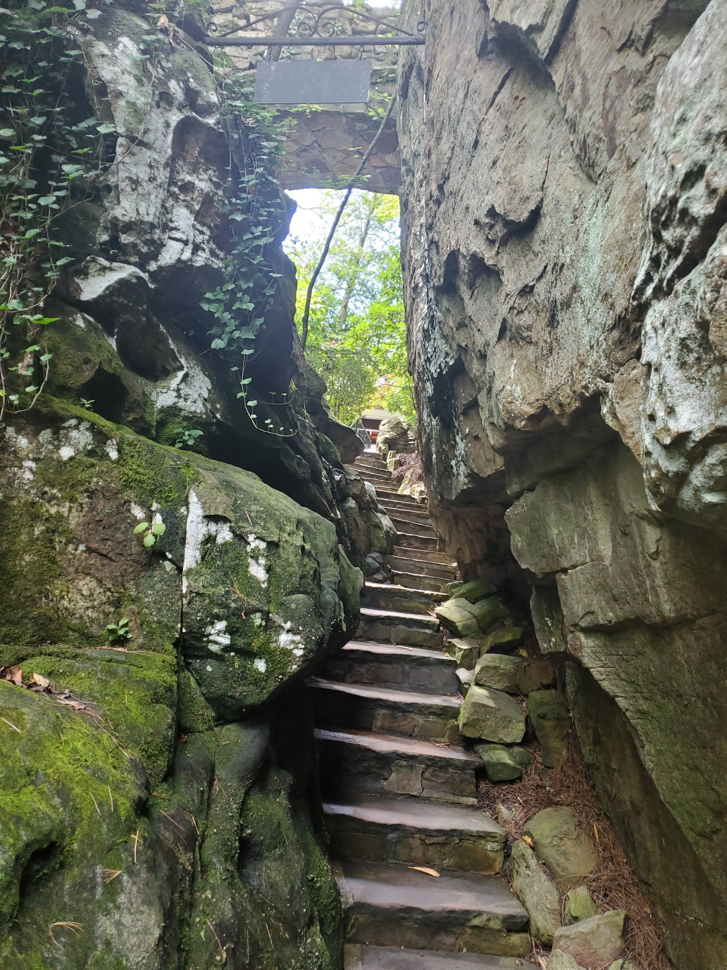 20200730_143917.jpg