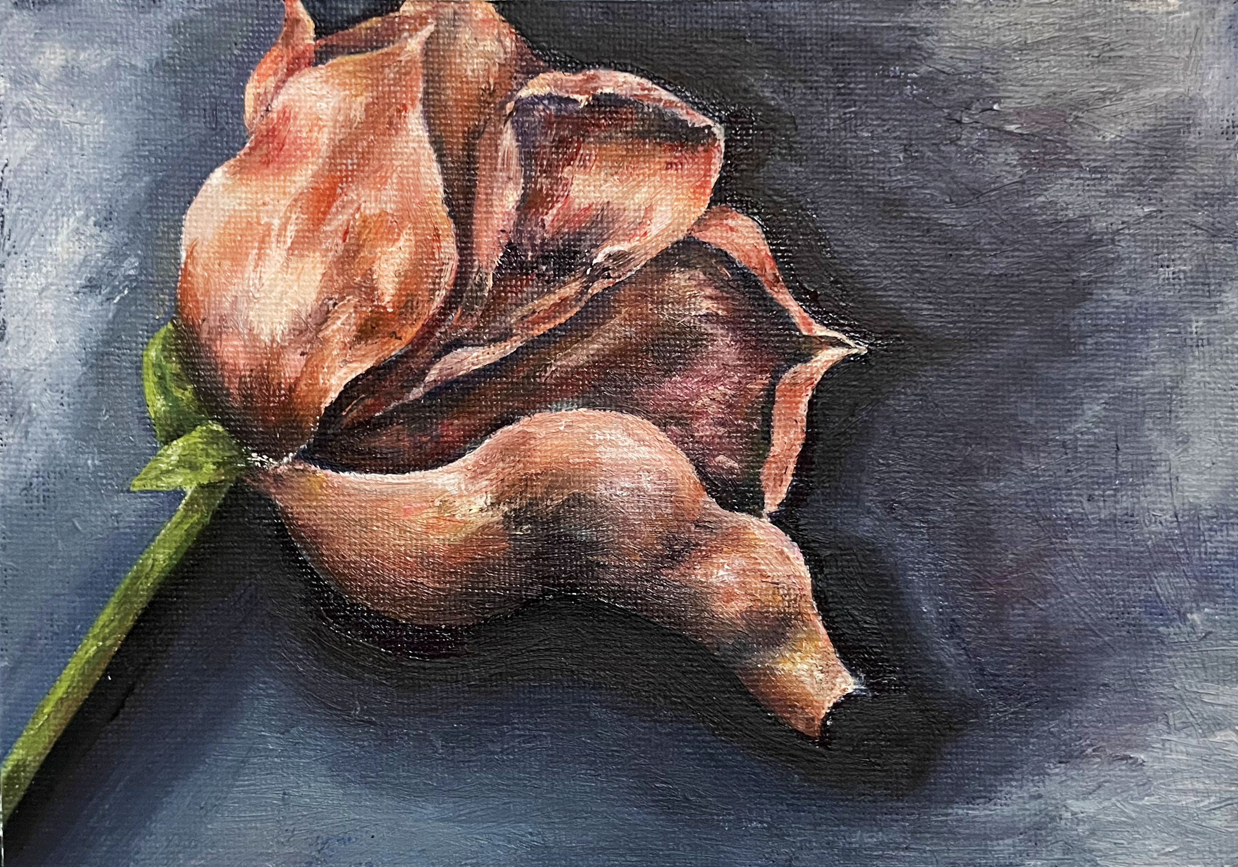 flowered cropped.png