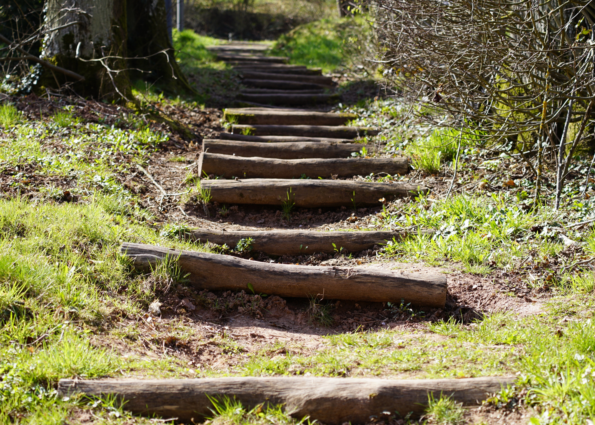 White Paper: Recovery from Substance Use and Maladaptive Behavior