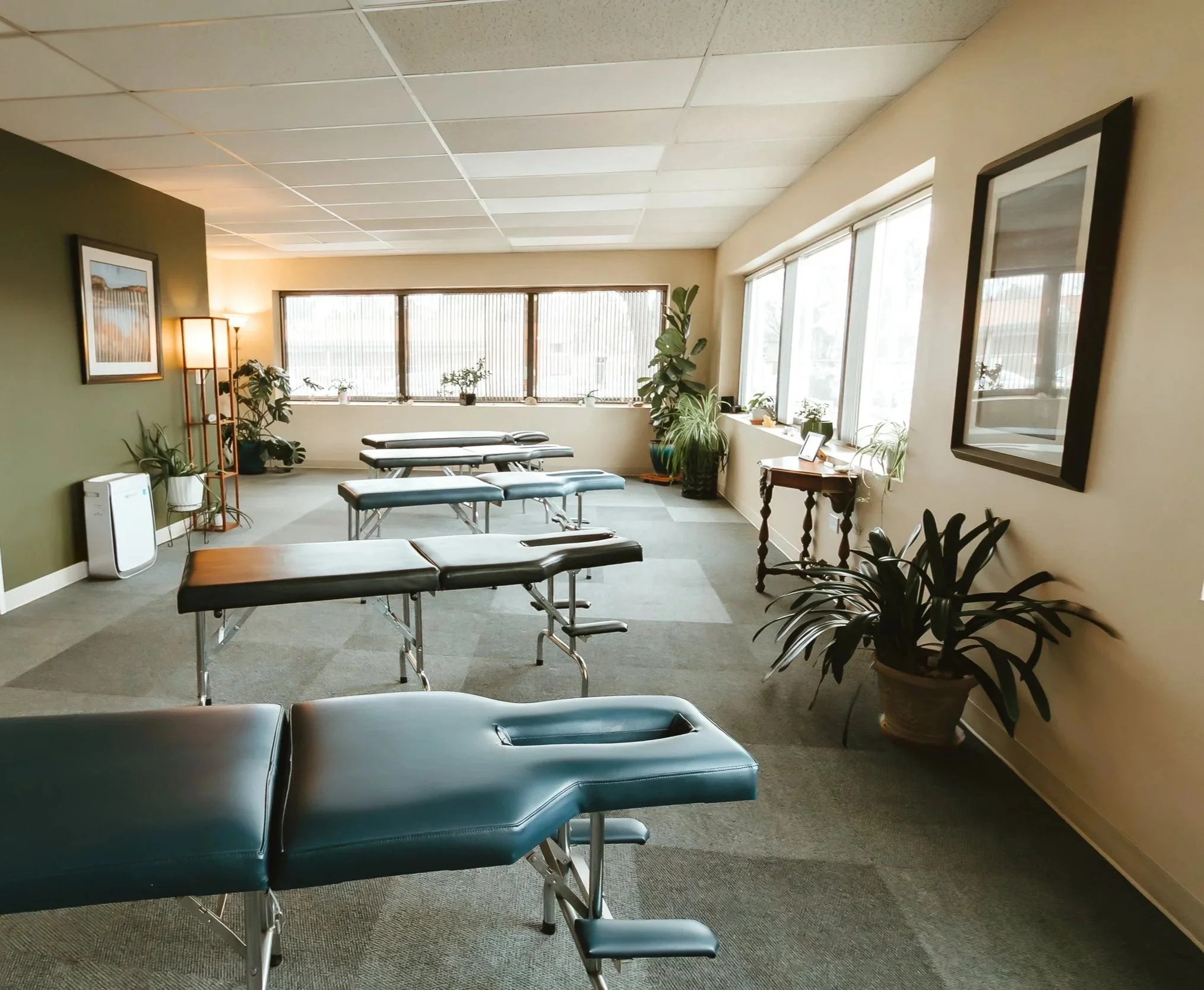 A wellness or chiropractic treatment room with multiple adjustable massage tables, potted plants, framed artwork, a lamp, and large windows with blinds allowing natural light, in a clean and organized space.
