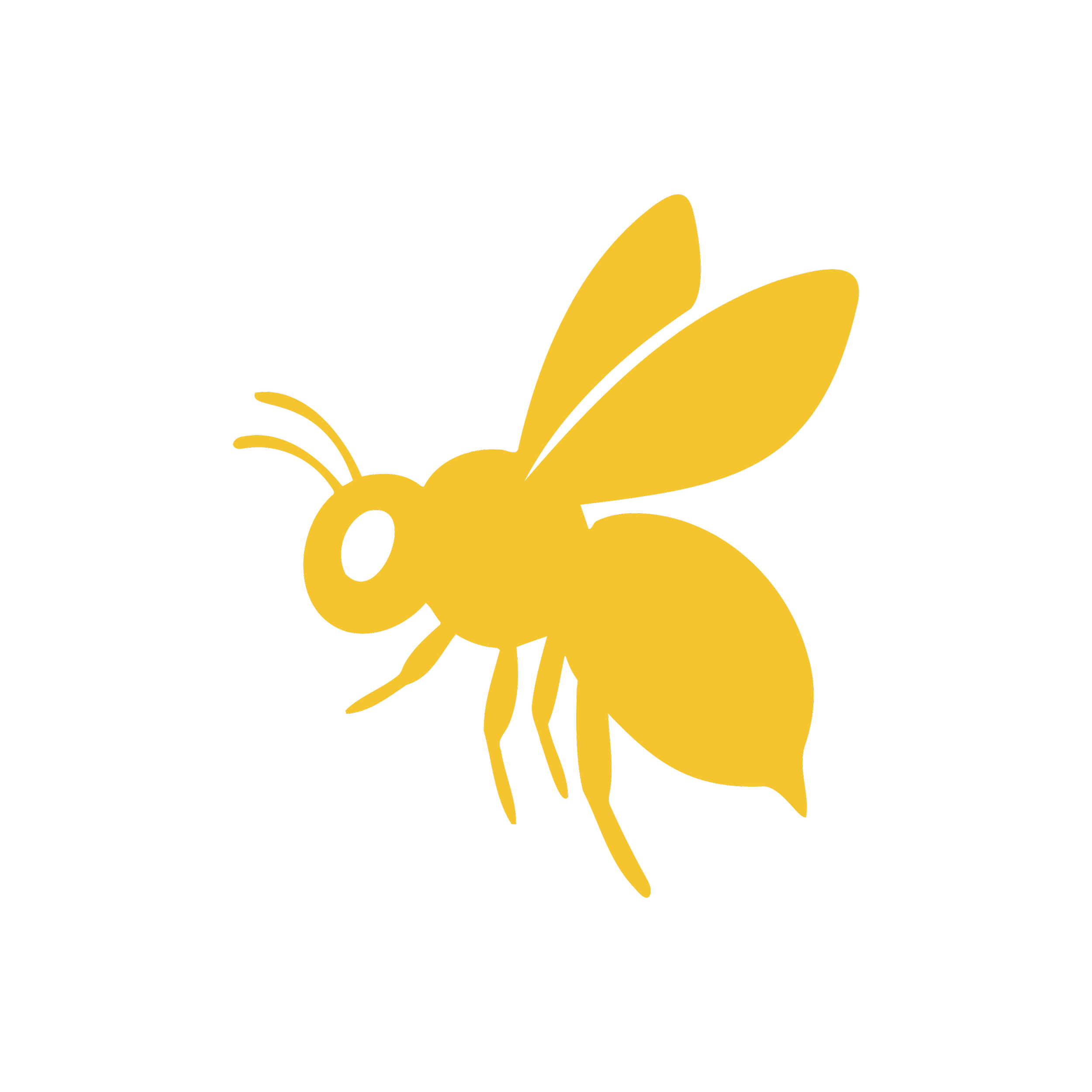 A yellow bee with black accents on a black background.