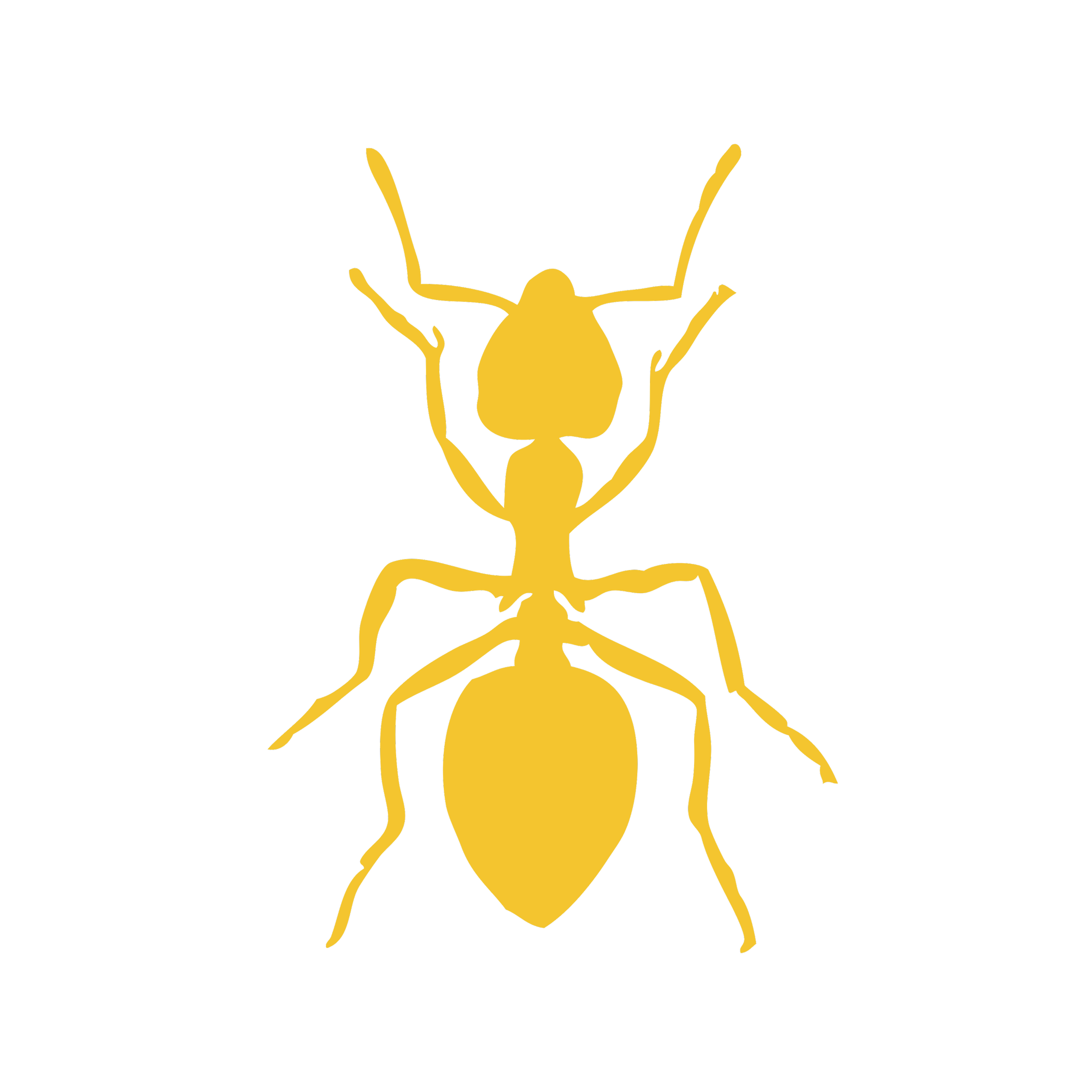 Outline drawing of a person with arms raised, with a gold-colored ant figure overlaid on their body.