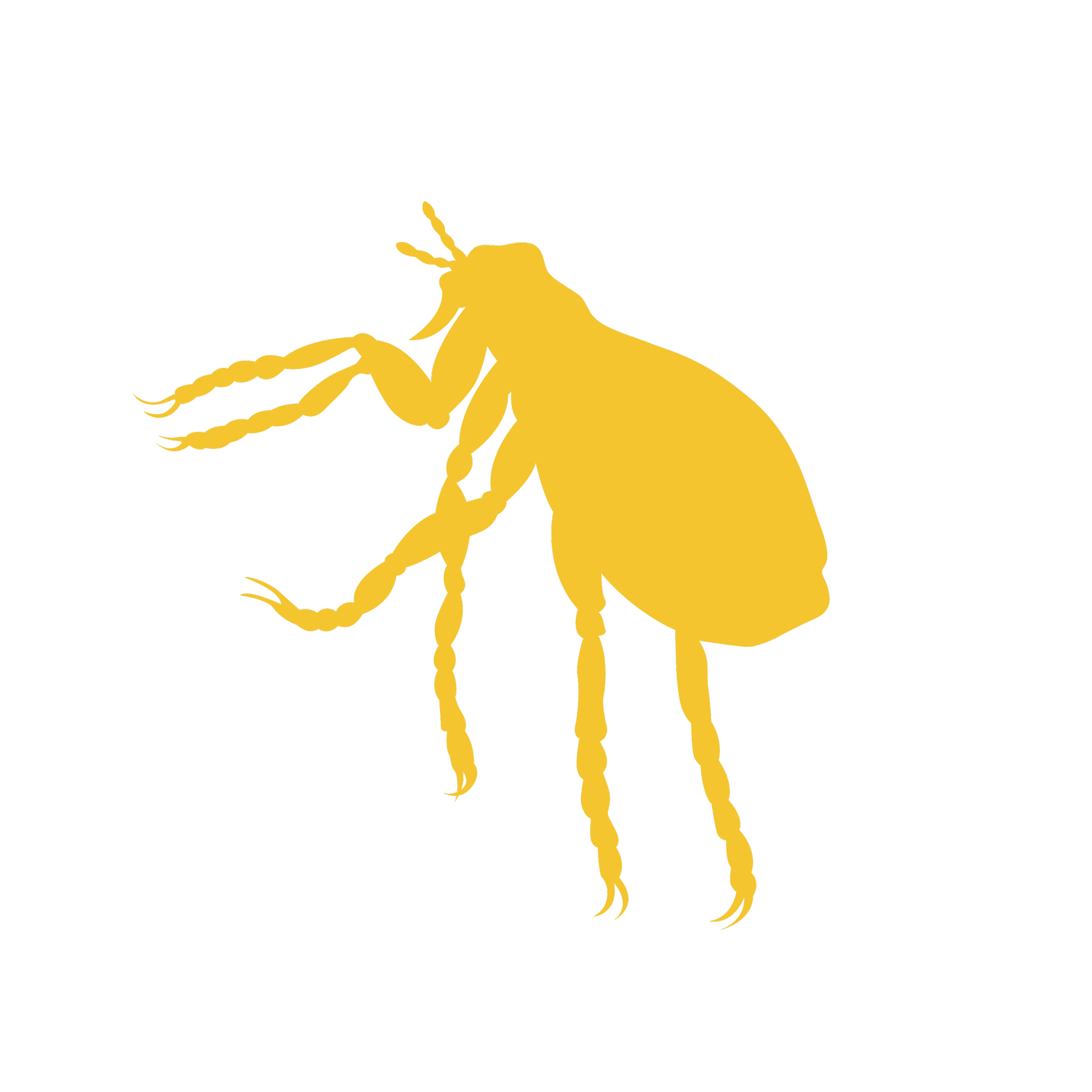 Yellow outline of a bee with antennae, wings, legs, and body on a black background.