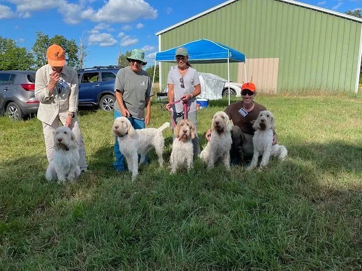 Spinone Only General Registration -June 20 and 21