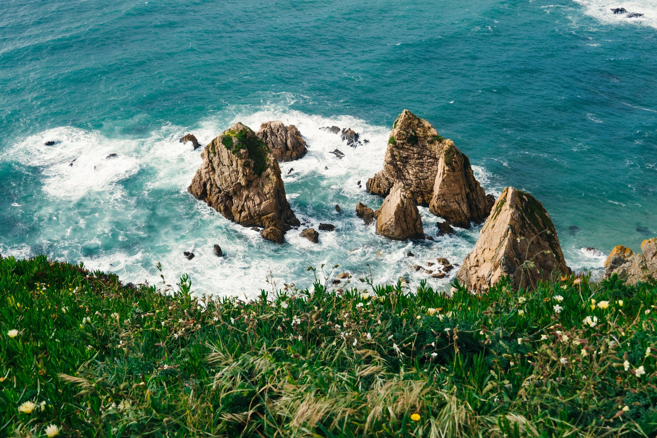 Photo of large rocks protruding from the ocean water near a grassy shore with flowers.