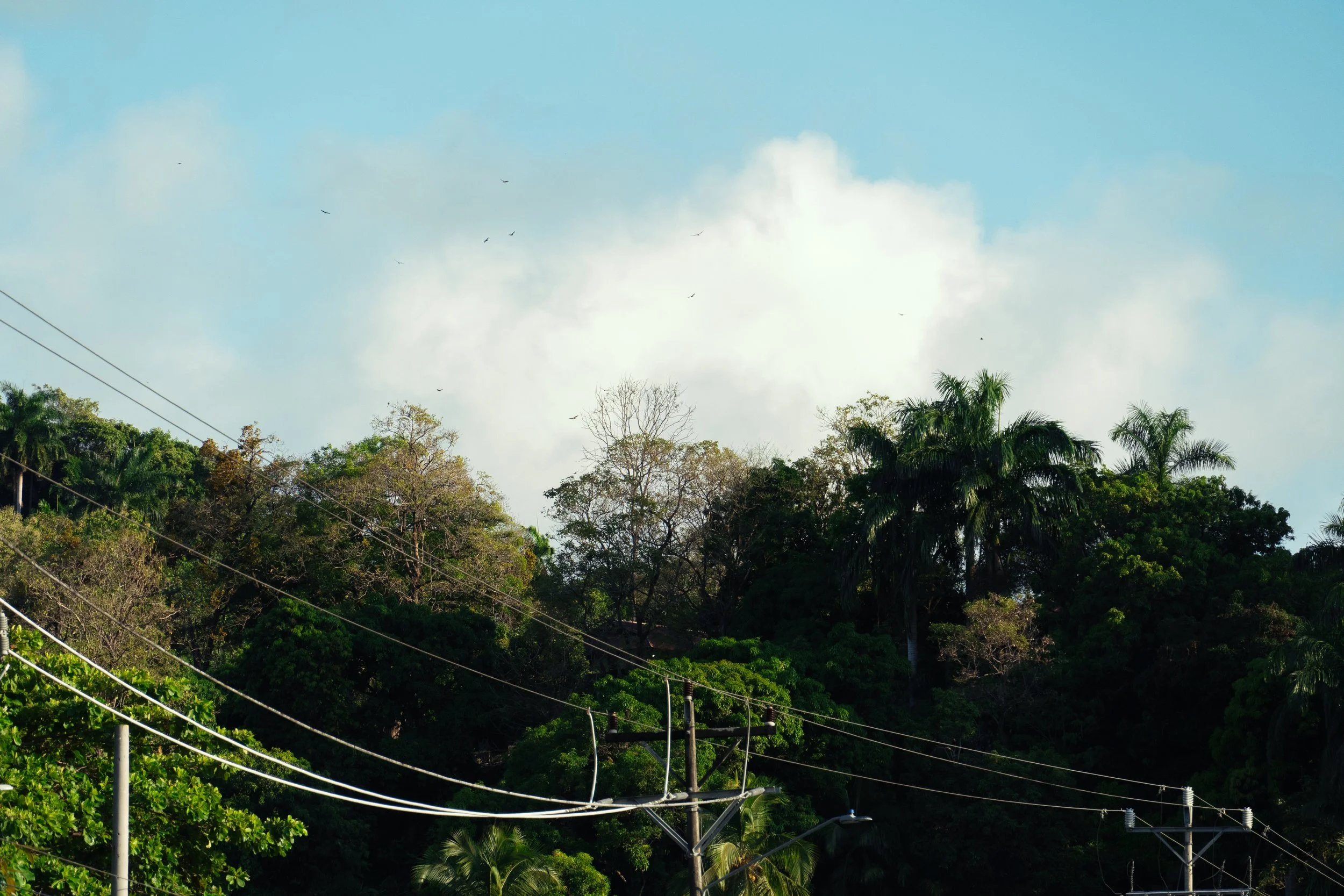 DSC00637.jpg