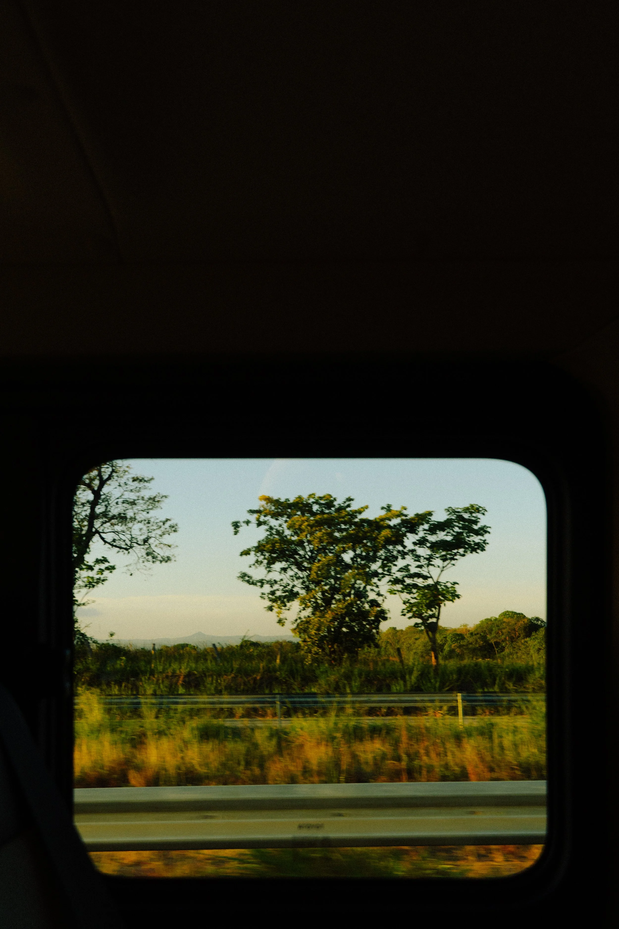 DSC00317.jpg