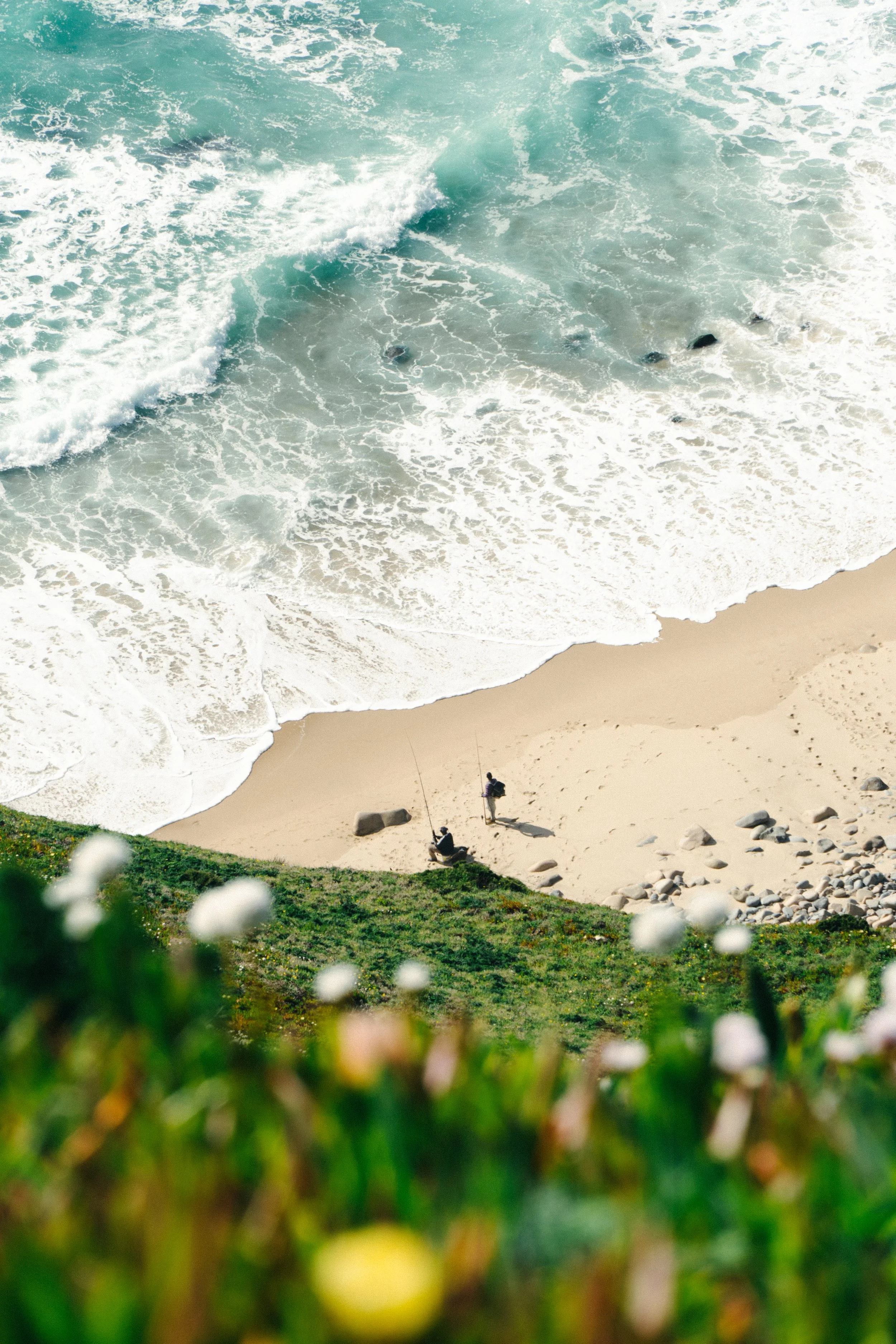 Three people fishing on a sandy beach with rocks, near grassy dunes with white flowers in the foreground.