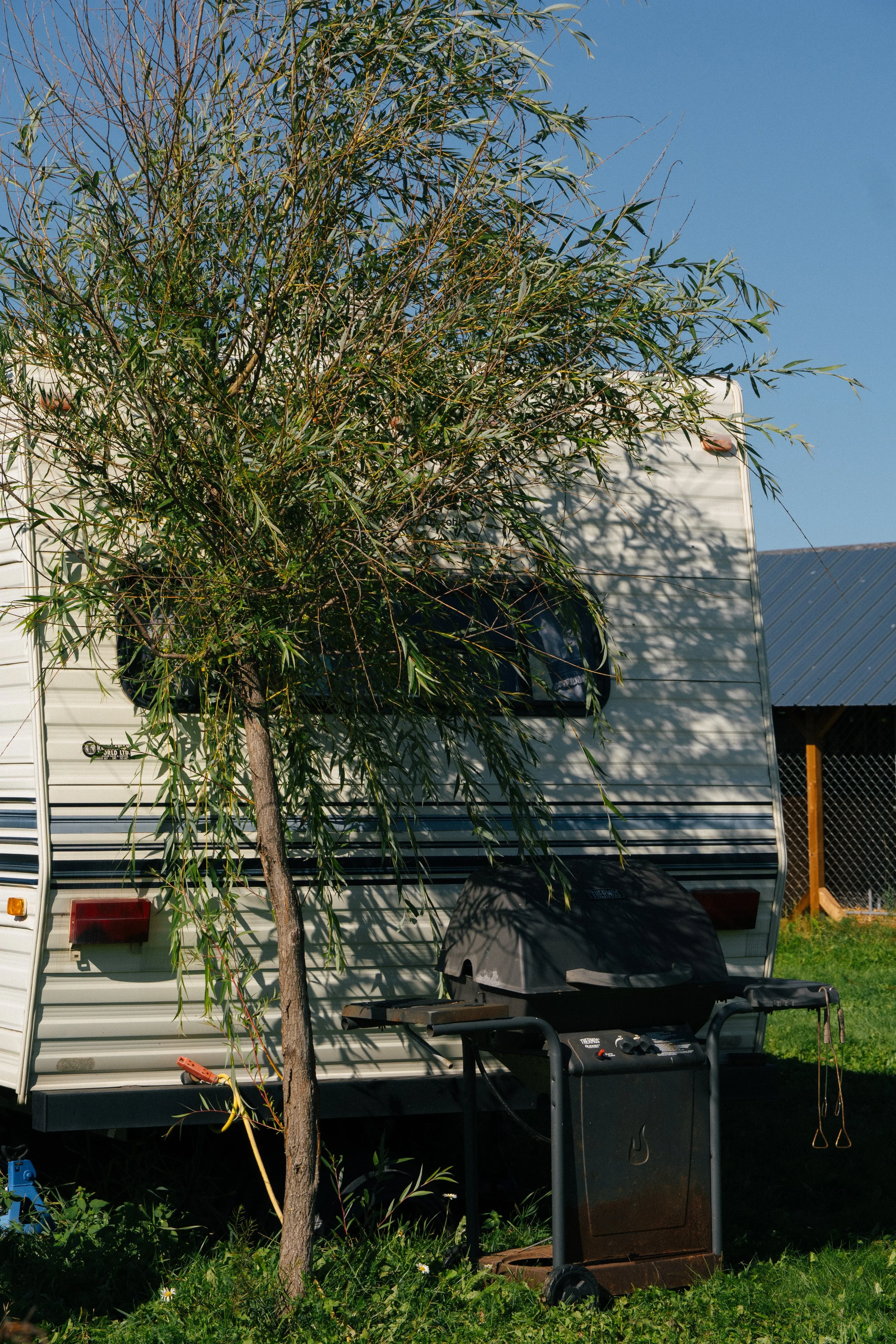 A camper trailer with a tree in front and a grill underneath a cover nearby, set on green grass with a blue sky background.