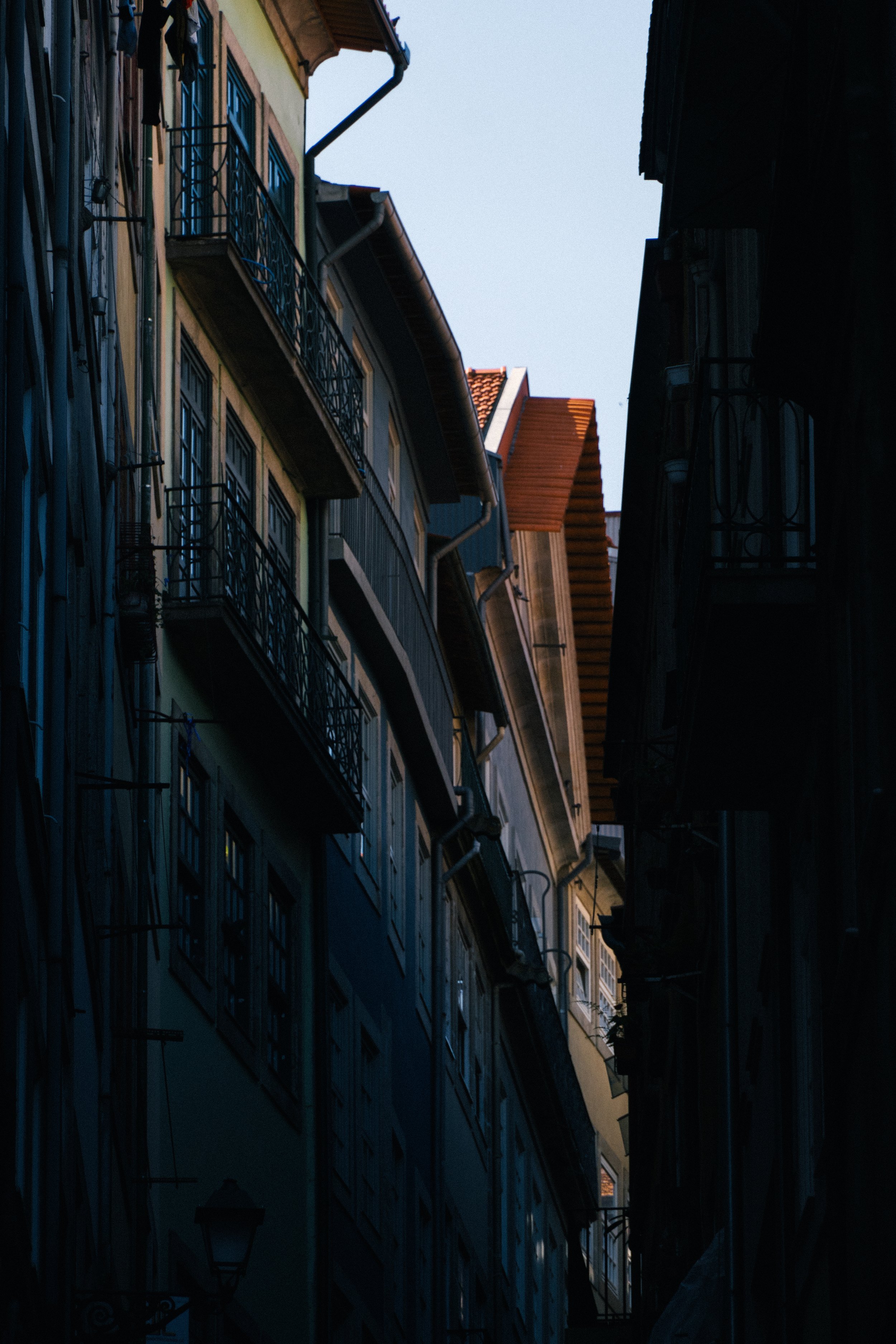 DSC08028.jpg