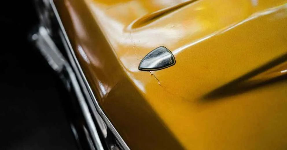 What Happens If You Don’t Protect Your Paint?