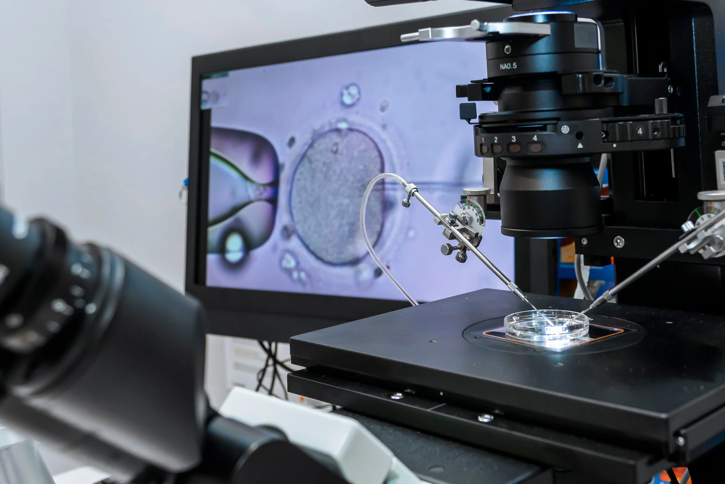 IVF Melbourne Specialist