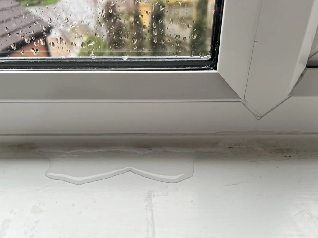 leaking window.jpg