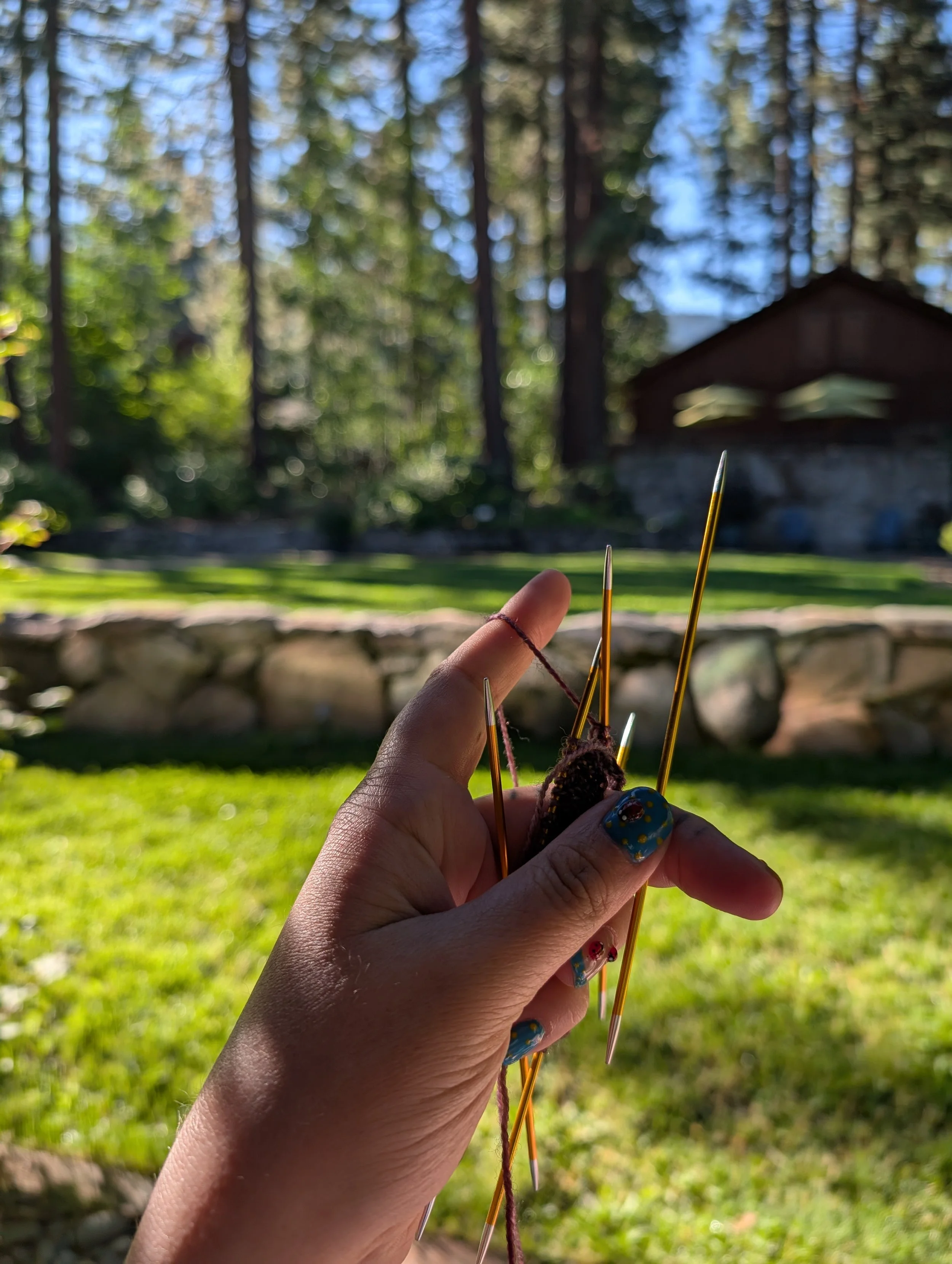 Intial Diagnostic Assessment