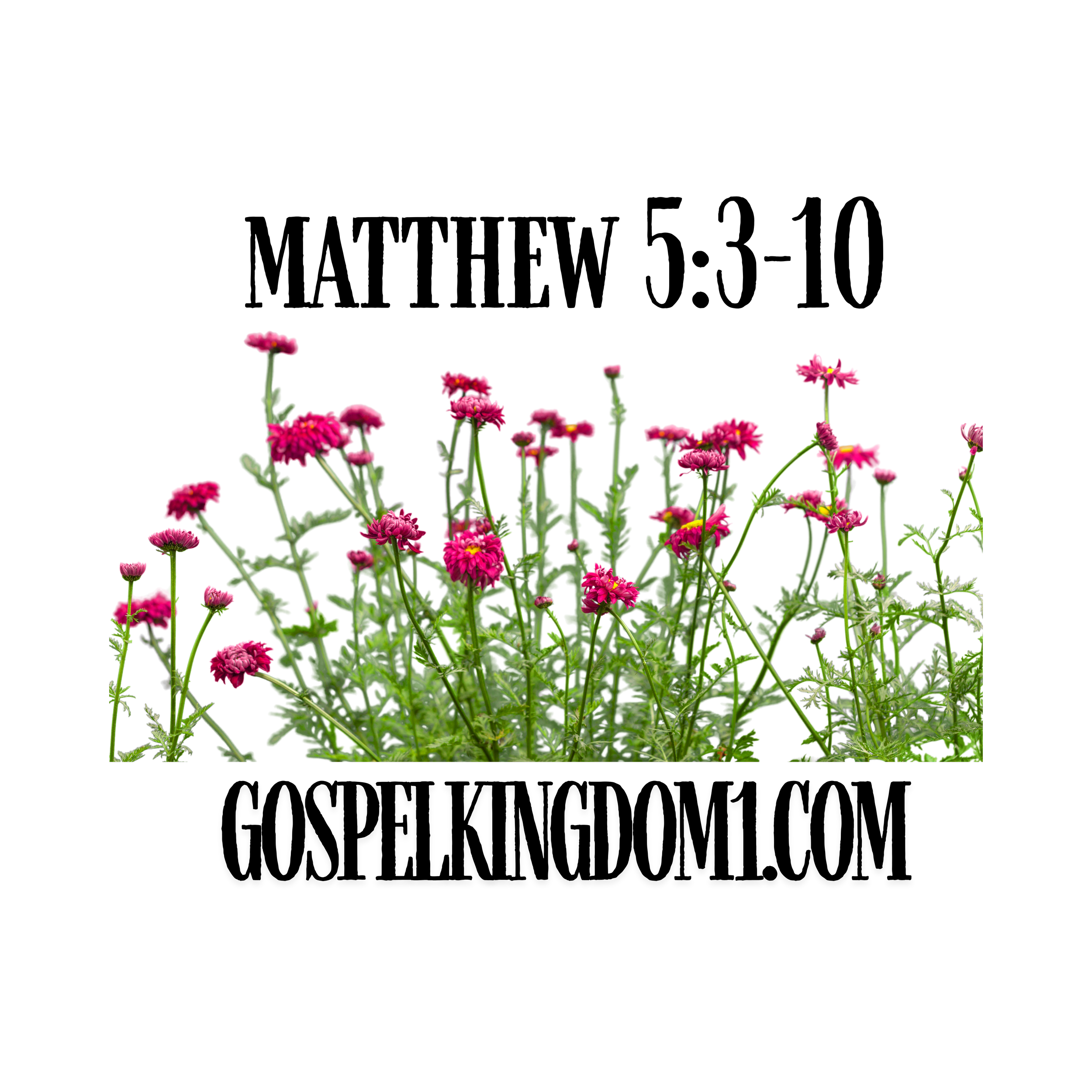 MATTHEW 5310.png