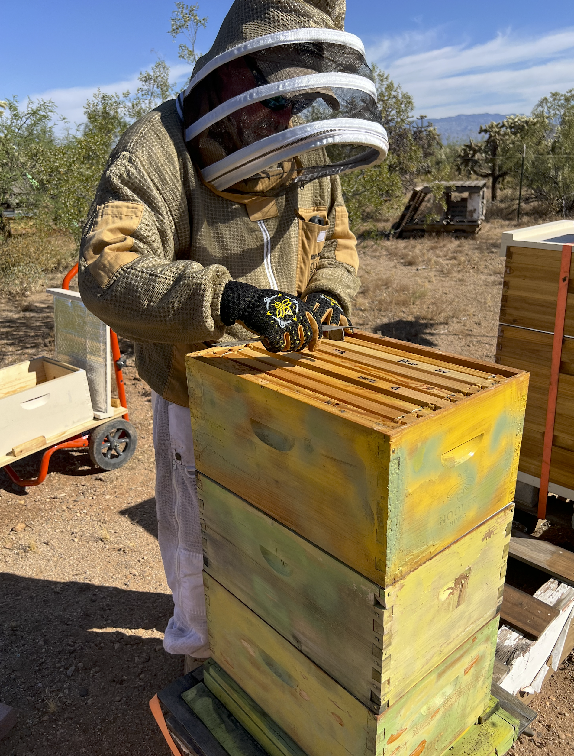 Screen Shot 2026-02-12 at 8.09.53 PM.png