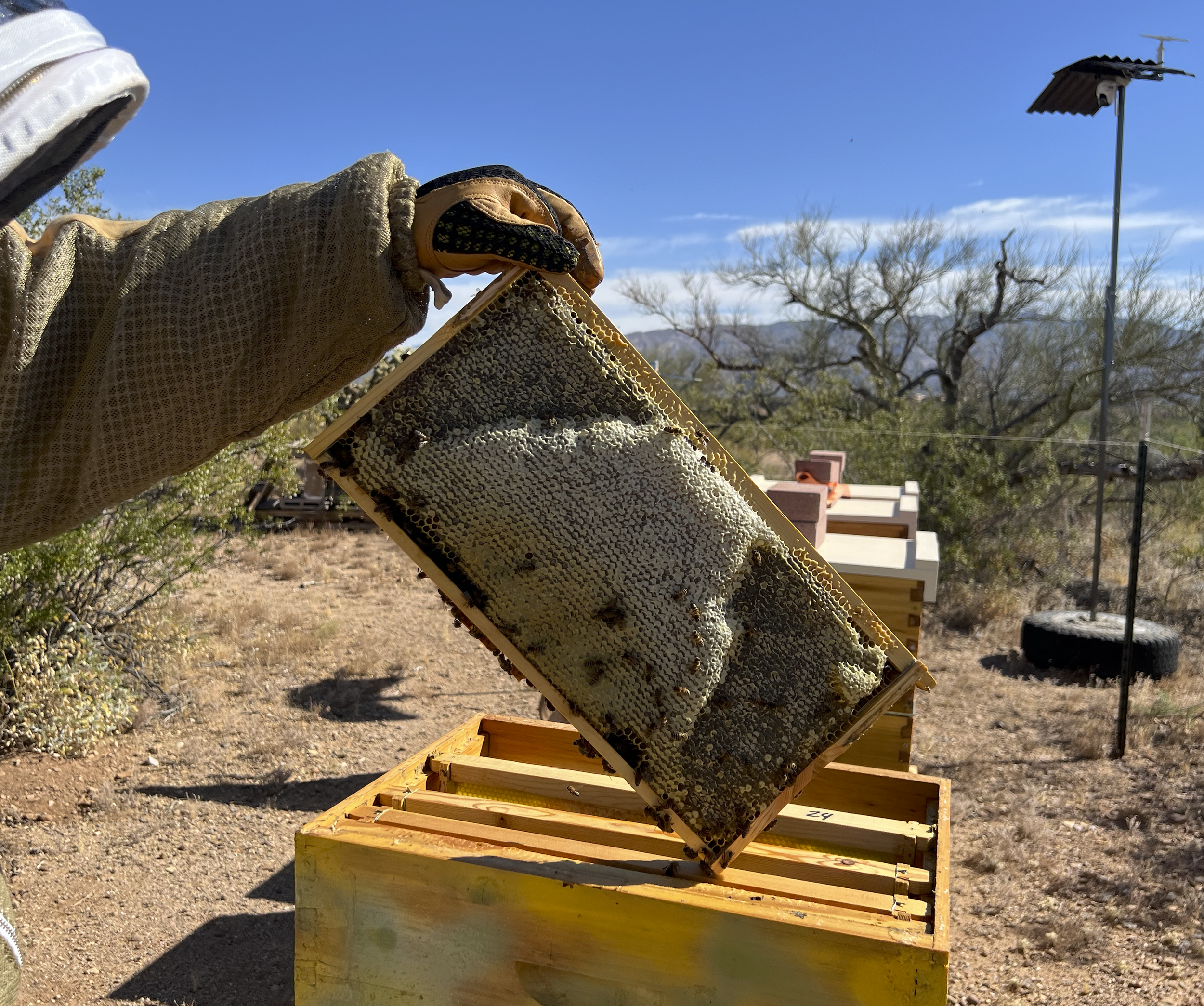 Screen Shot 2026-02-12 at 8.11.38 PM.png