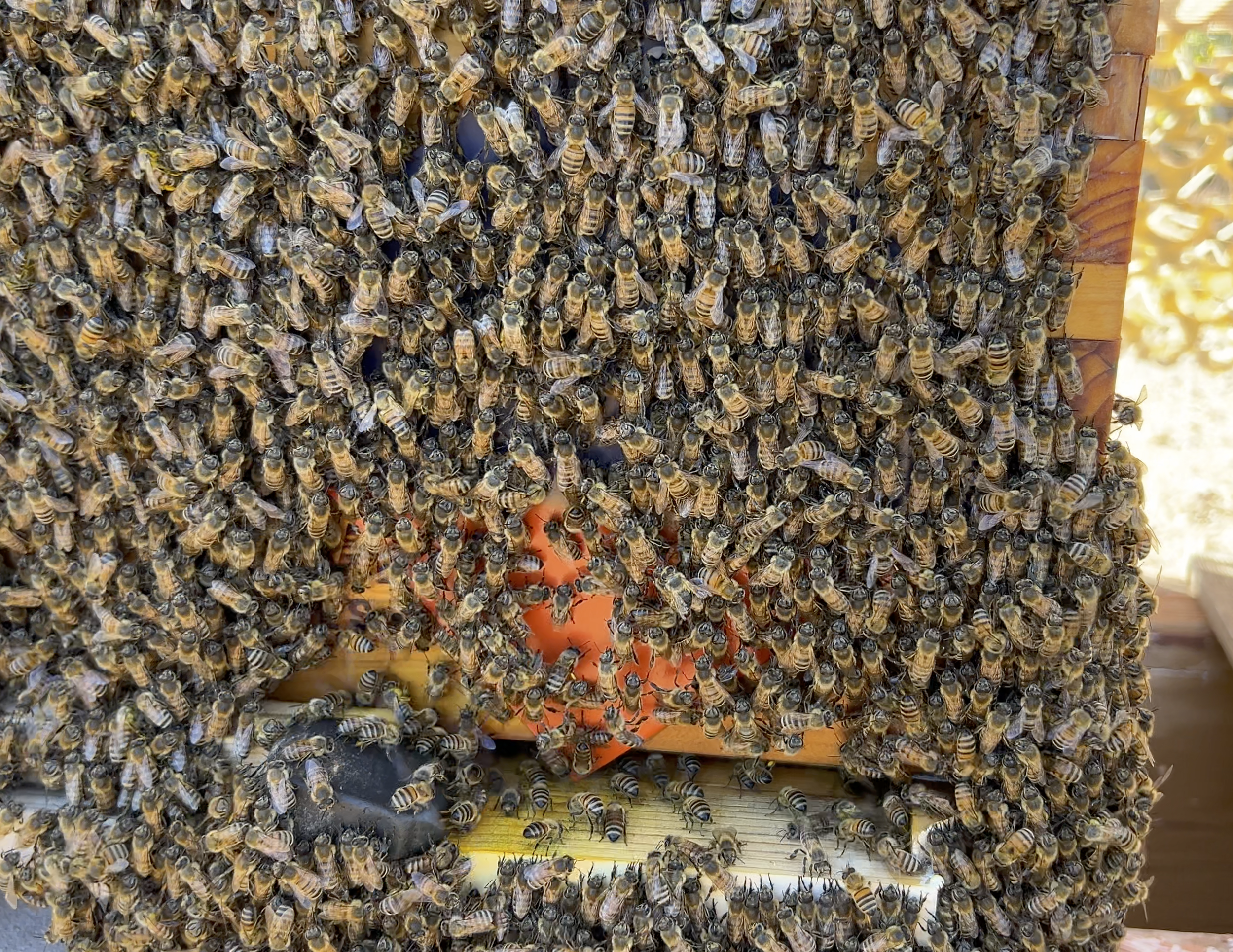 Screen Shot 2026-02-25 at 8.29.28 AM.png