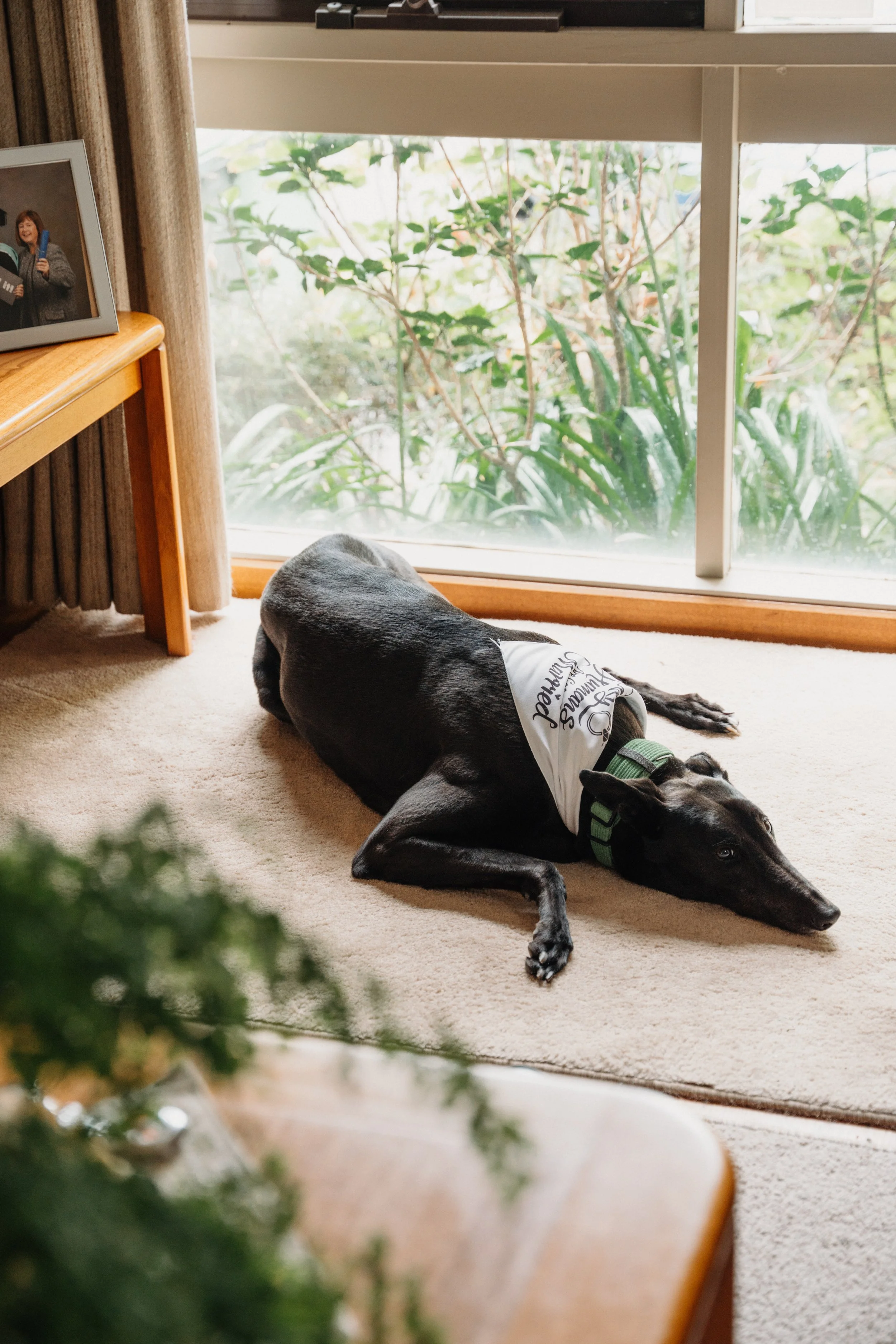 Eliza + Sean_Mt Macedon Winery-4.jpg