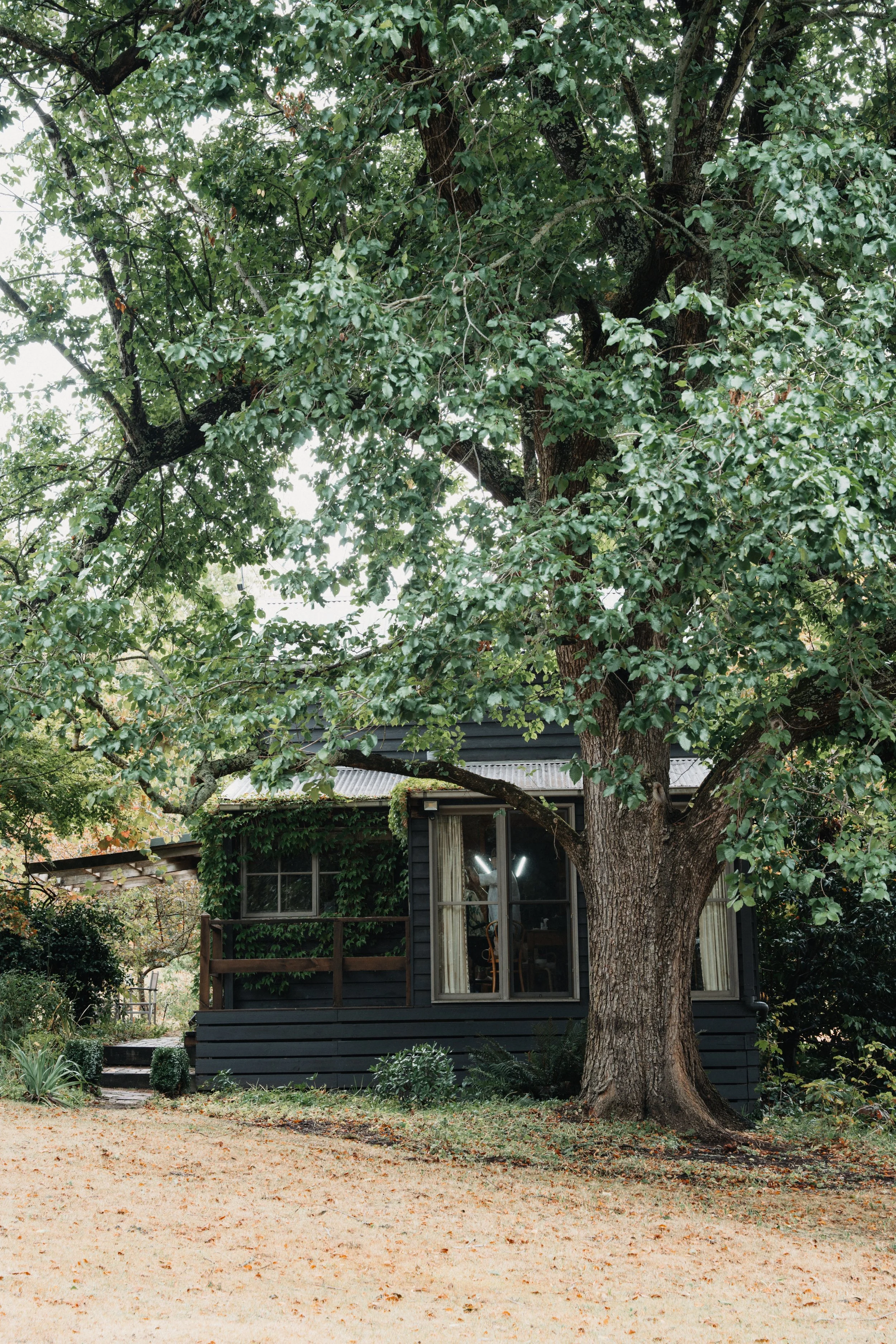 Eliza + Sean_Mt Macedon Winery-12.jpg