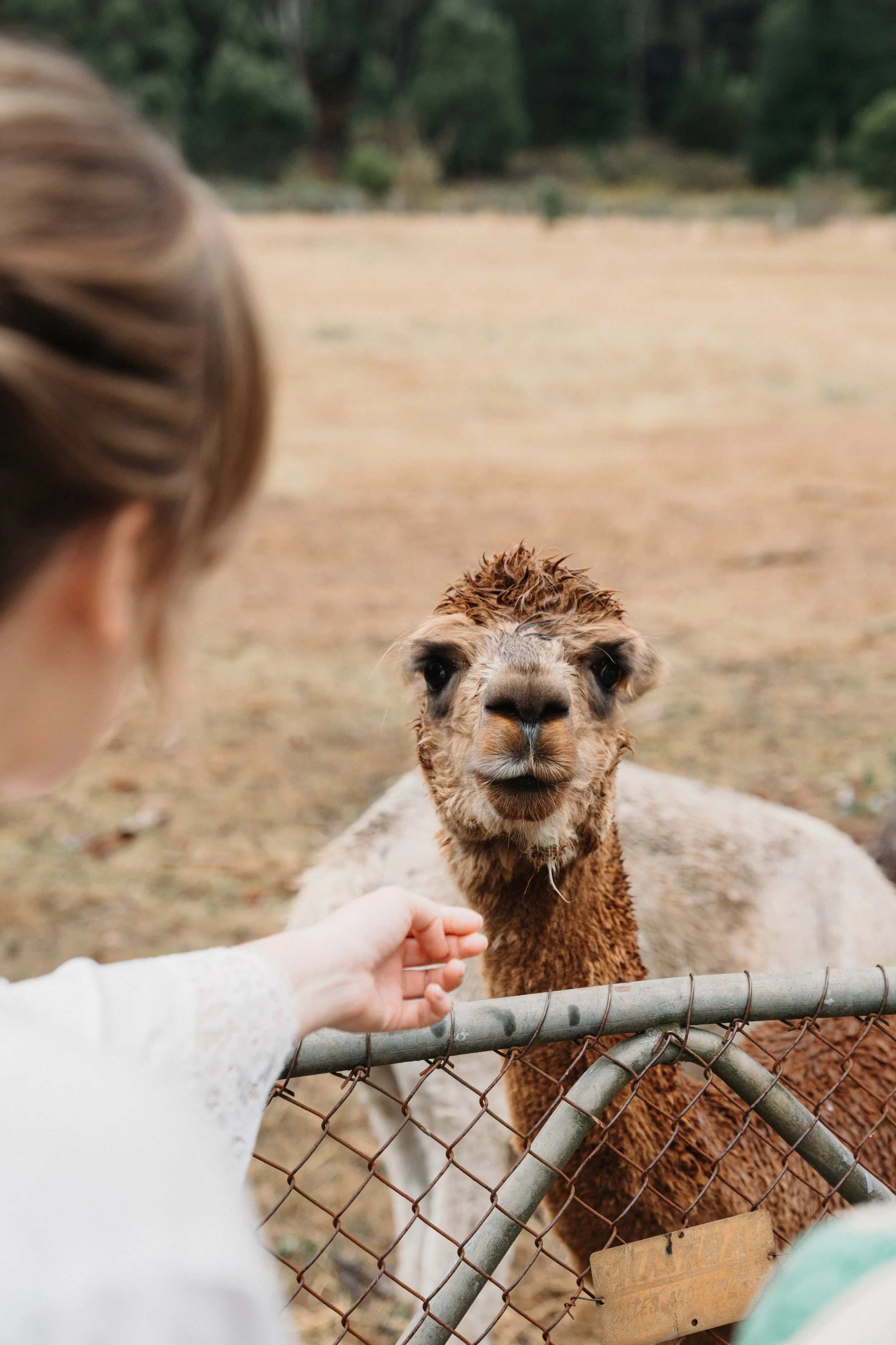 Eliza + Sean_Mt Macedon Winery-20.jpg