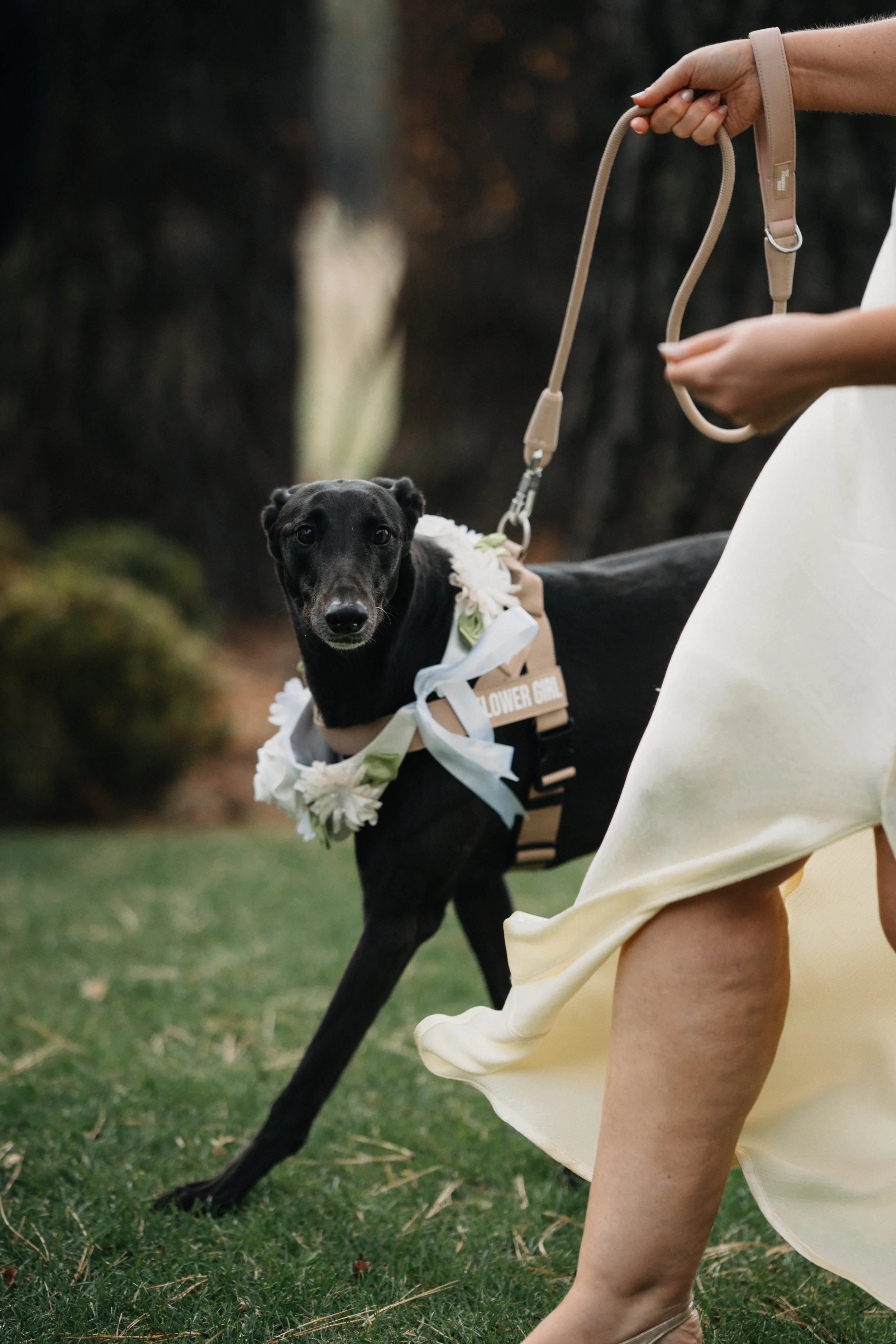 Eliza + Sean_Mt Macedon Winery-70.jpg