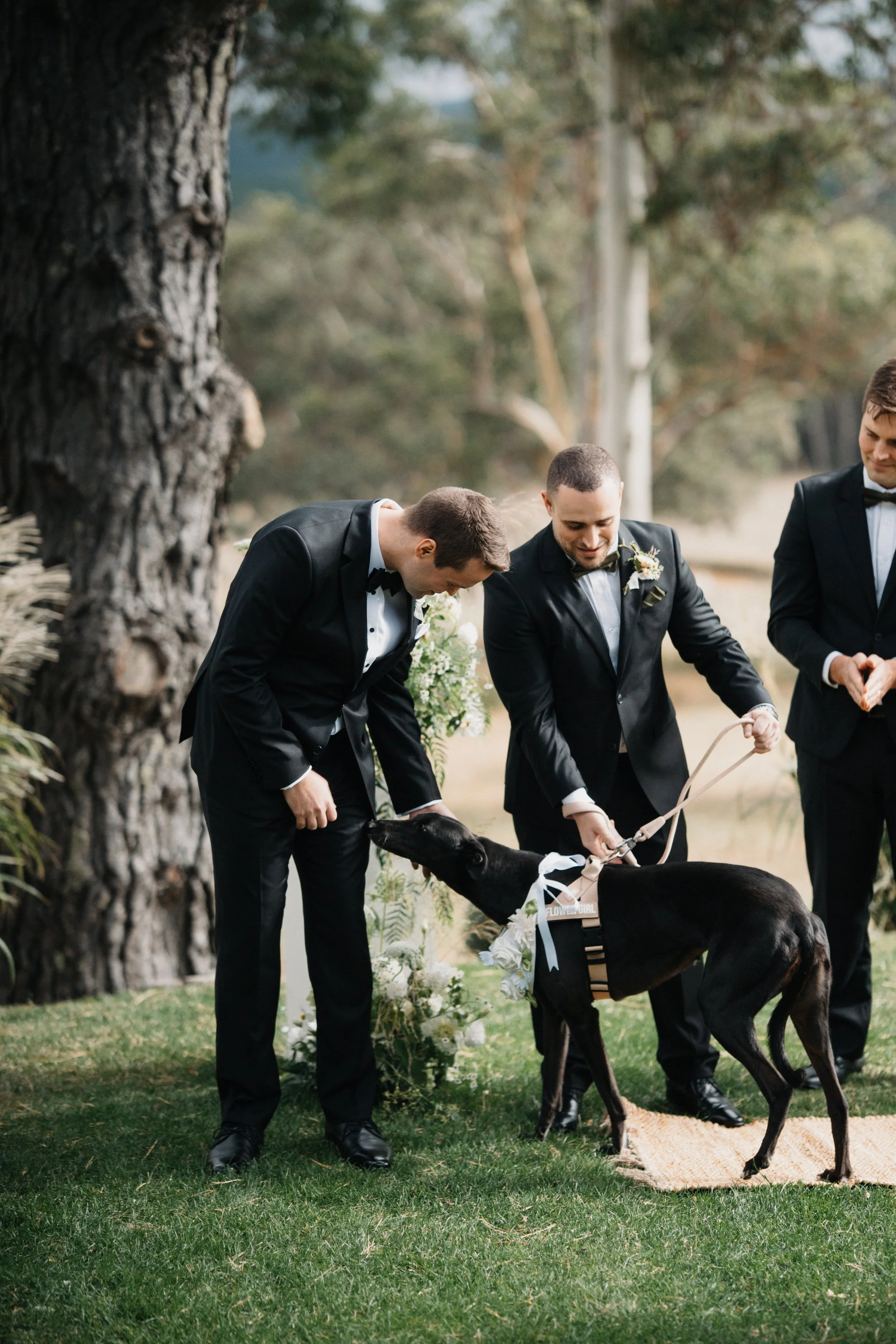 Eliza + Sean_Mt Macedon Winery-71.jpg