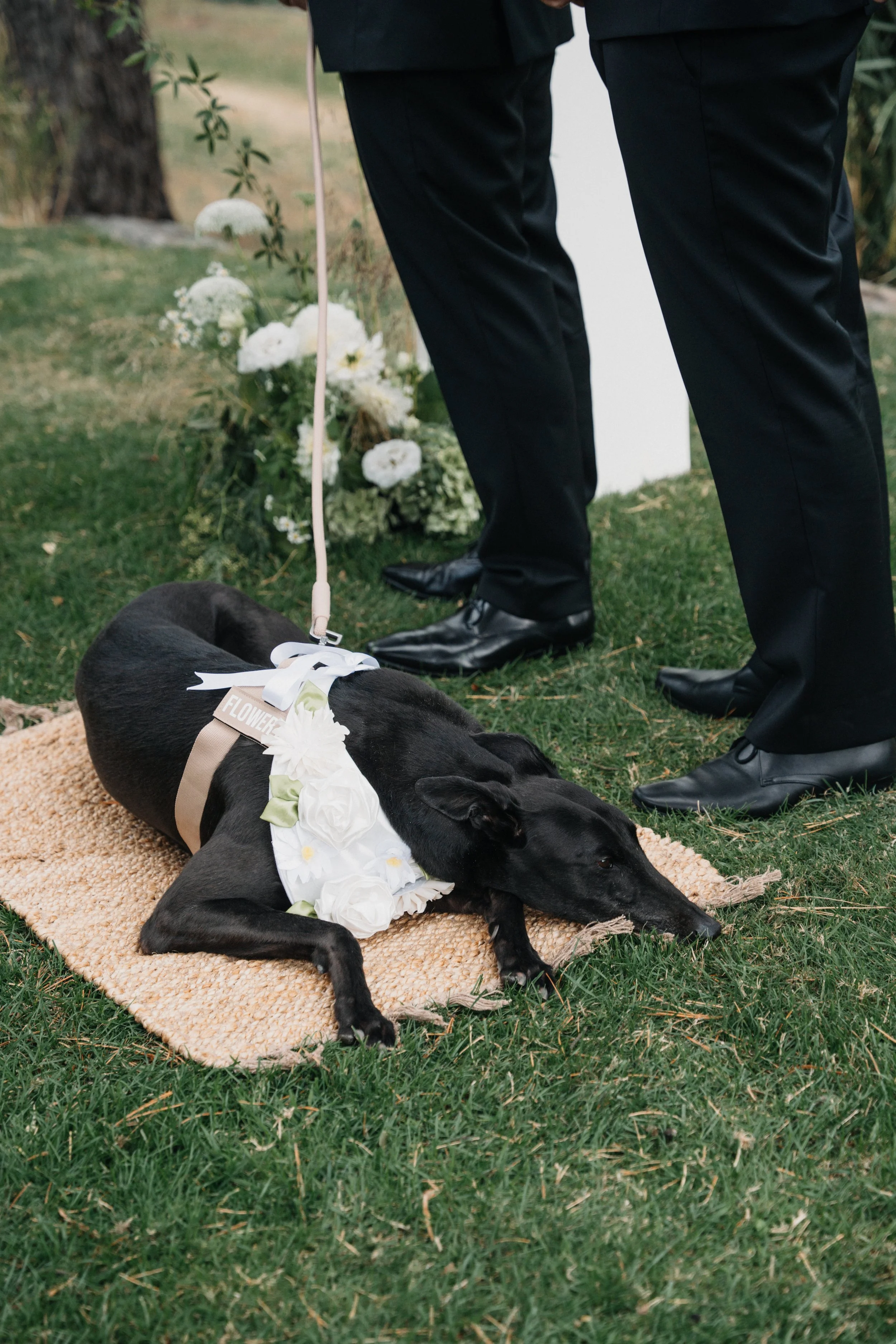 Eliza + Sean_Mt Macedon Winery-83.jpg