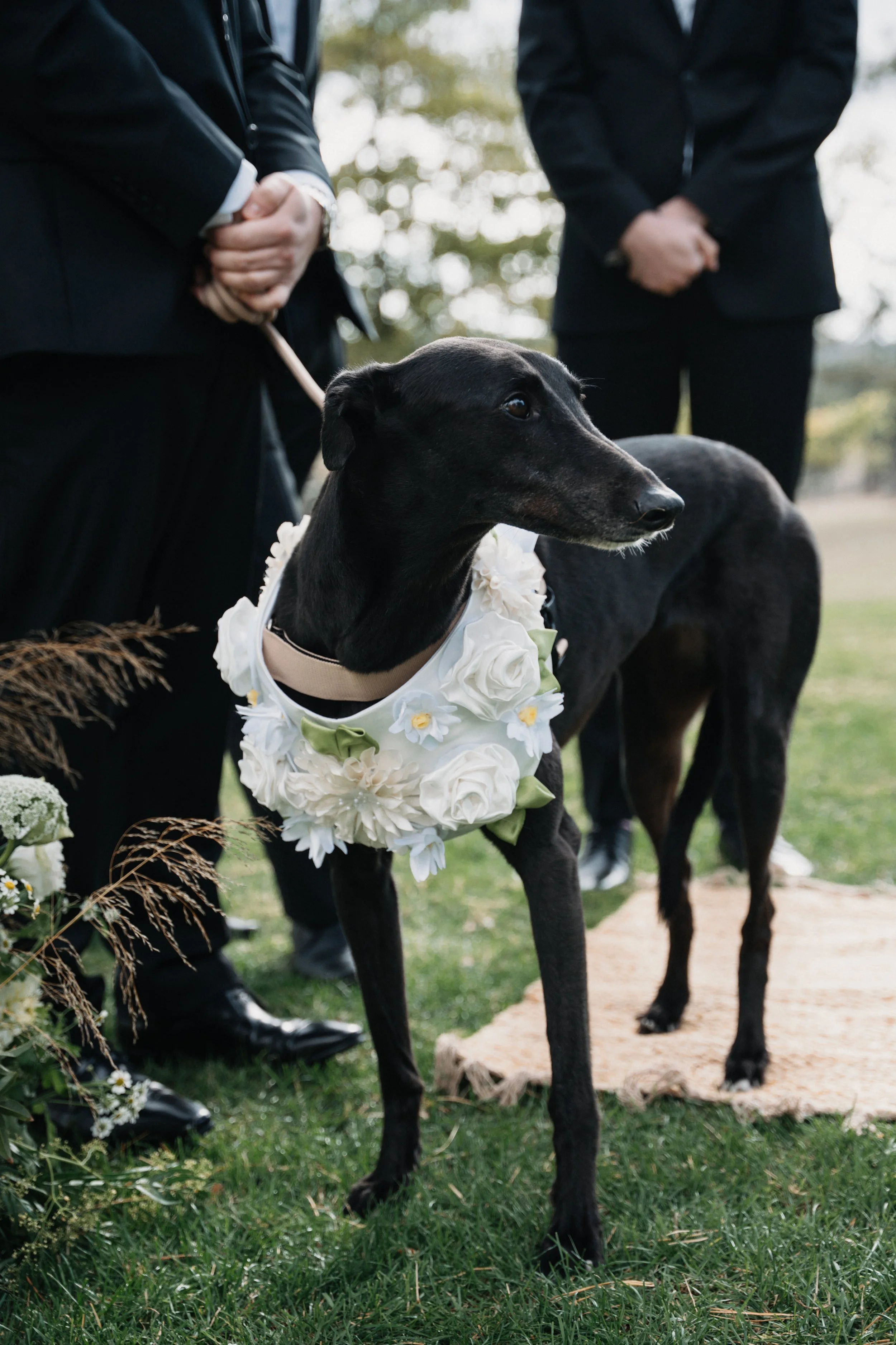 Eliza + Sean_Mt Macedon Winery-90.jpg