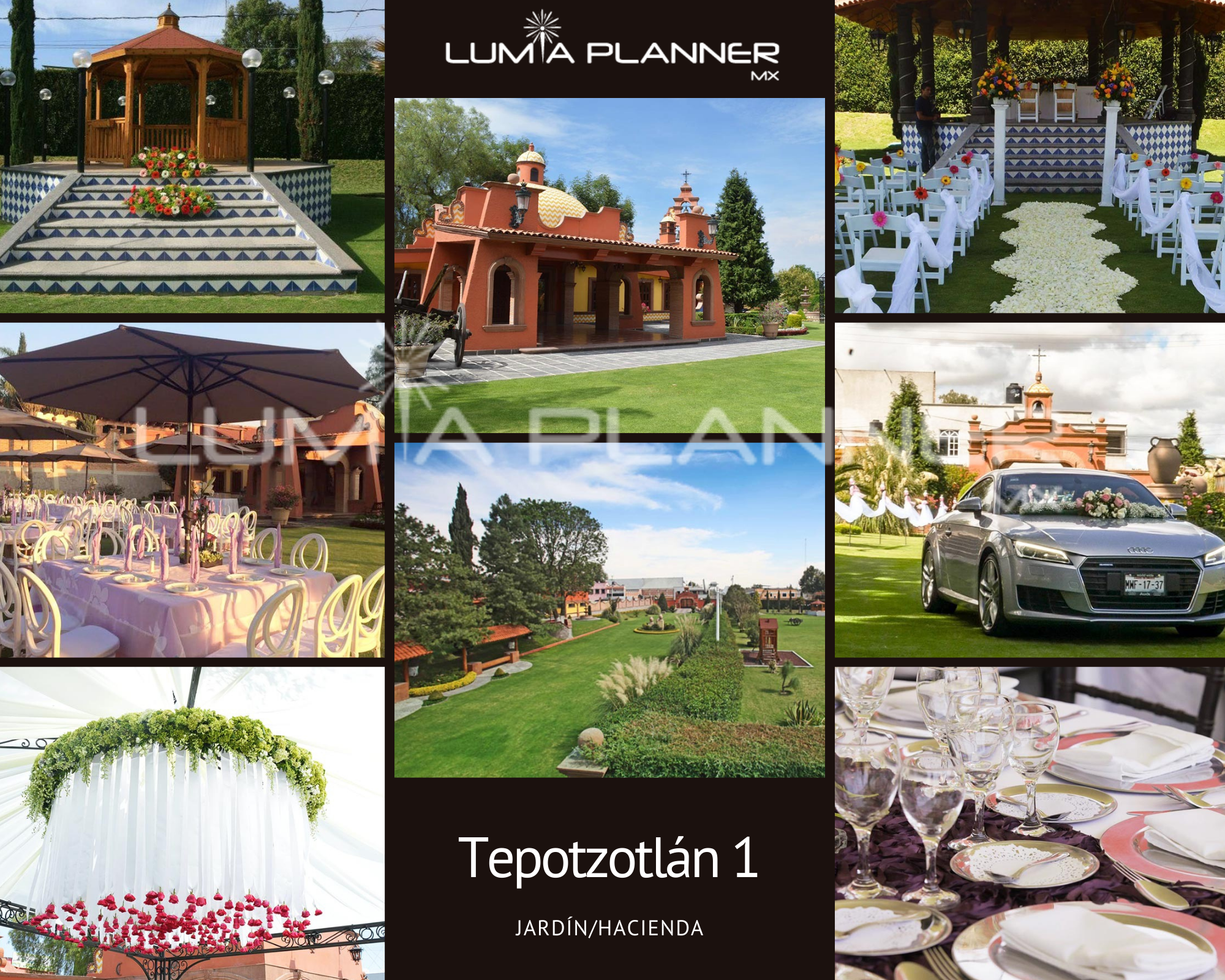 Collage de Fotos Modelo Moodboard Aesthetic Delicado Blanco.png