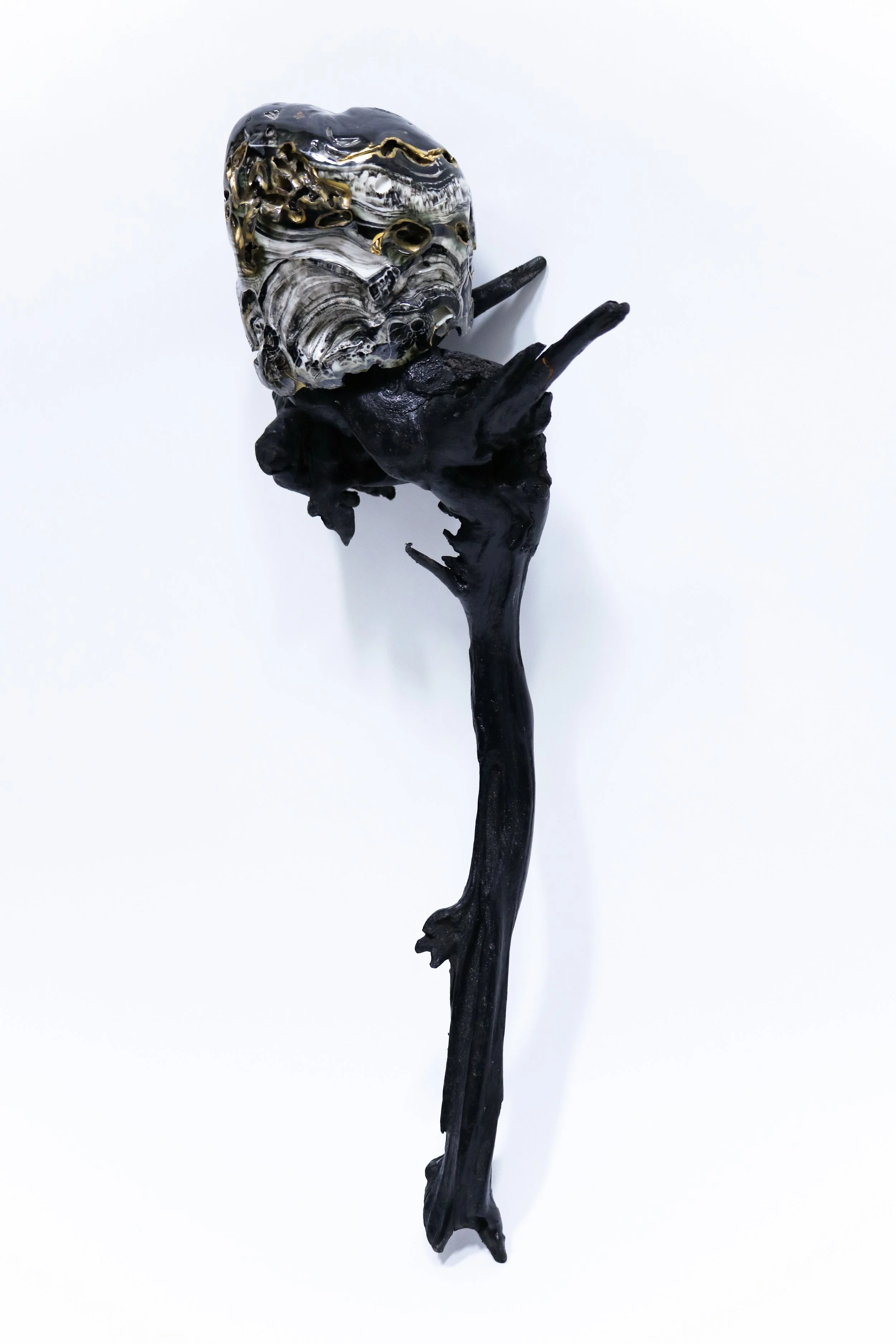 Babblings: pearl oyster 8,
ceramic, gold, wood, stan oil and mixed media, 30cm variable size, 2021