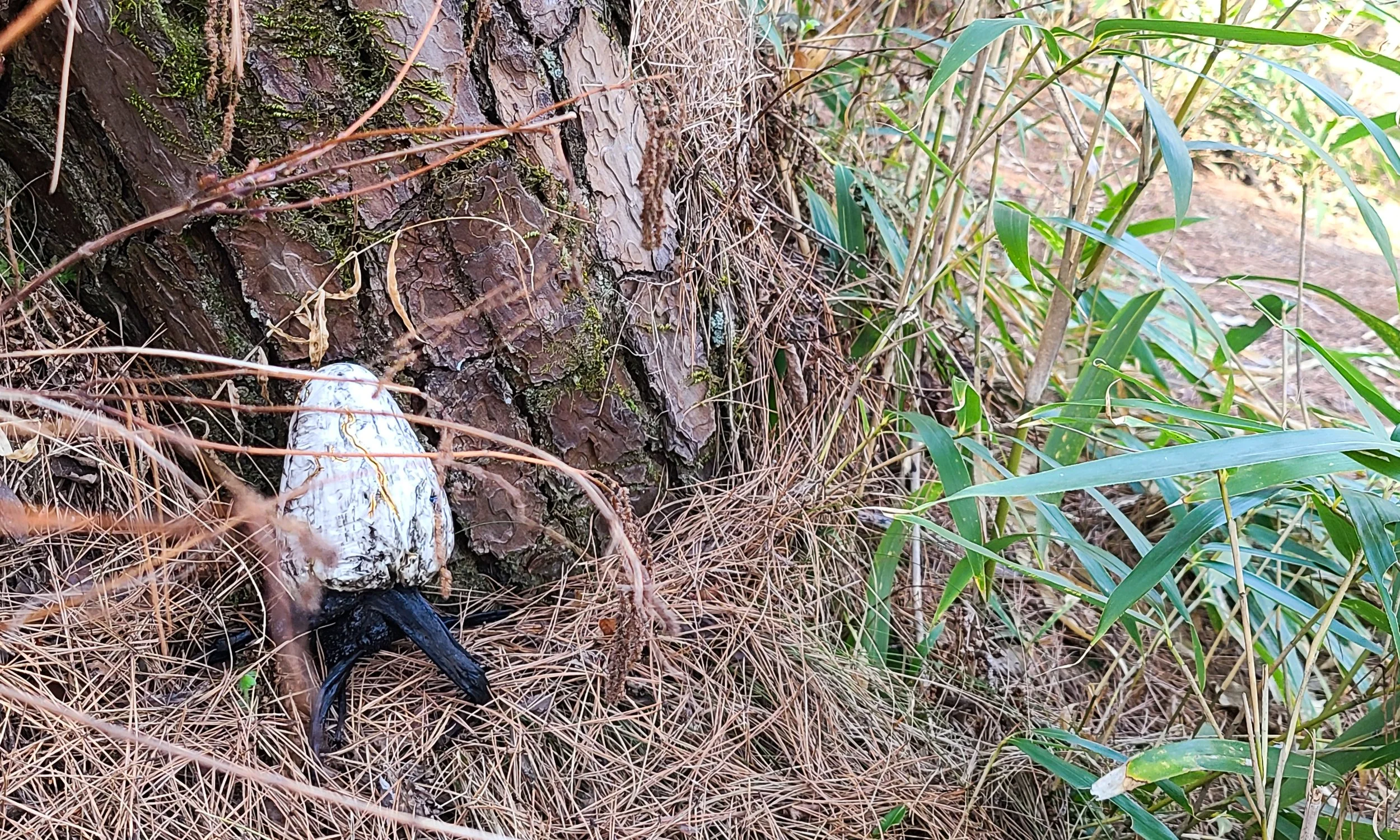 Installation view at Oglyong-Am, Gyeongju, South Korea