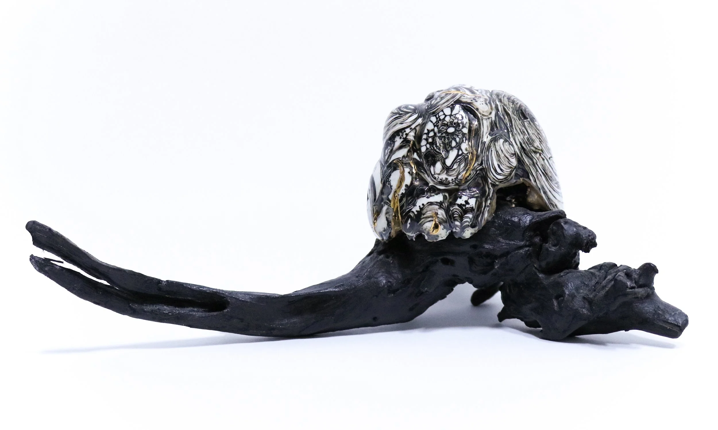 Babblings: pearl oyster 2,
ceramic, gold, wood, stan oil and mixed media, 30cm variable size, 2021