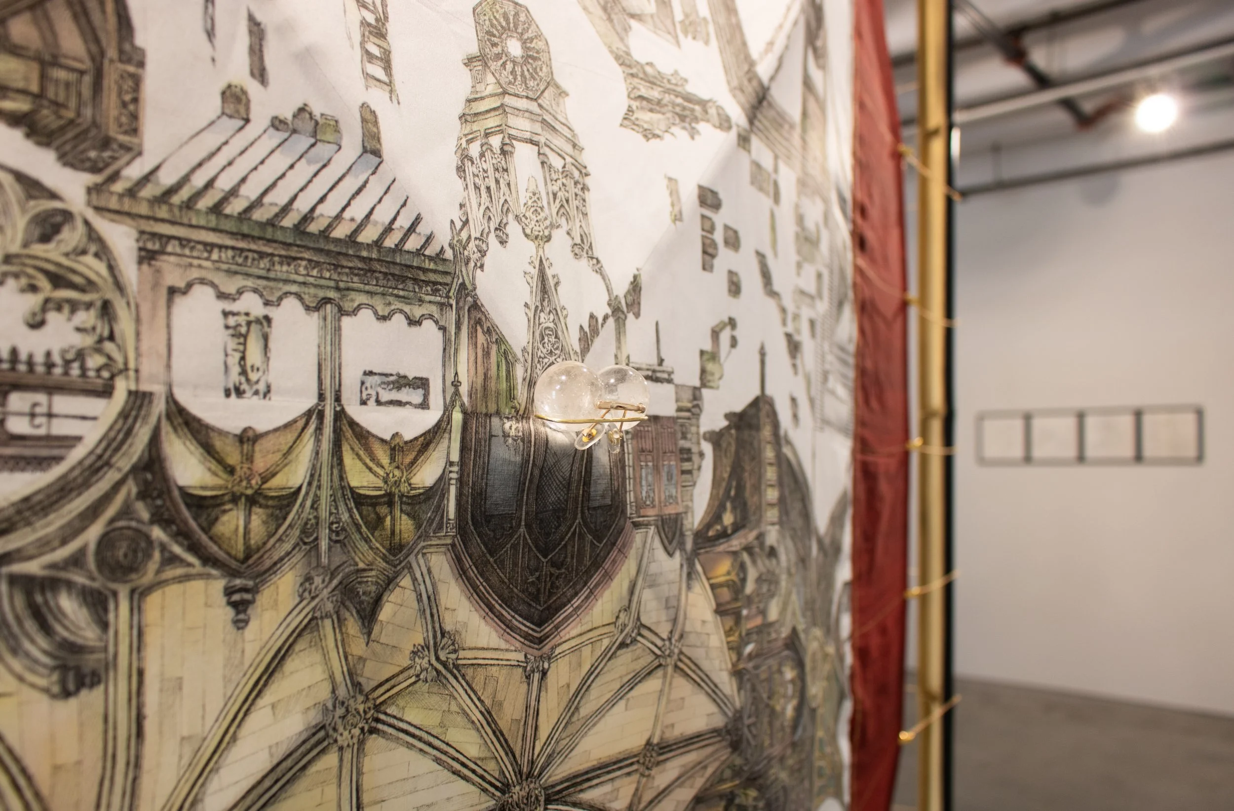 Demaginified z-axis+Body of Hermit Crab 2.jpg