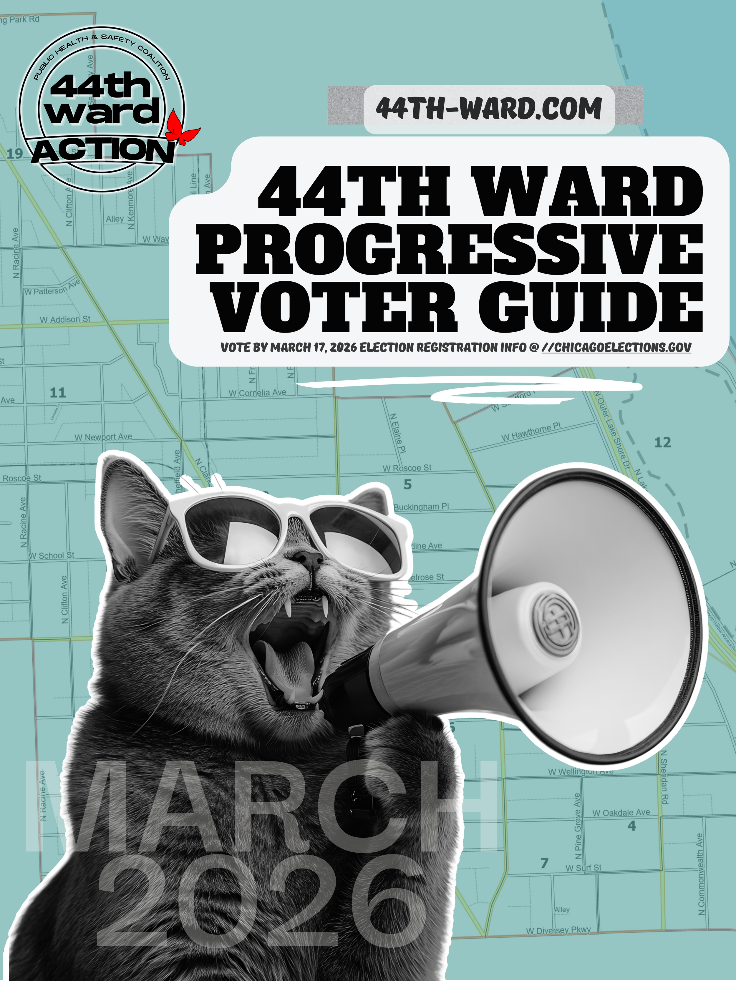 March 17th Democratic Primaries