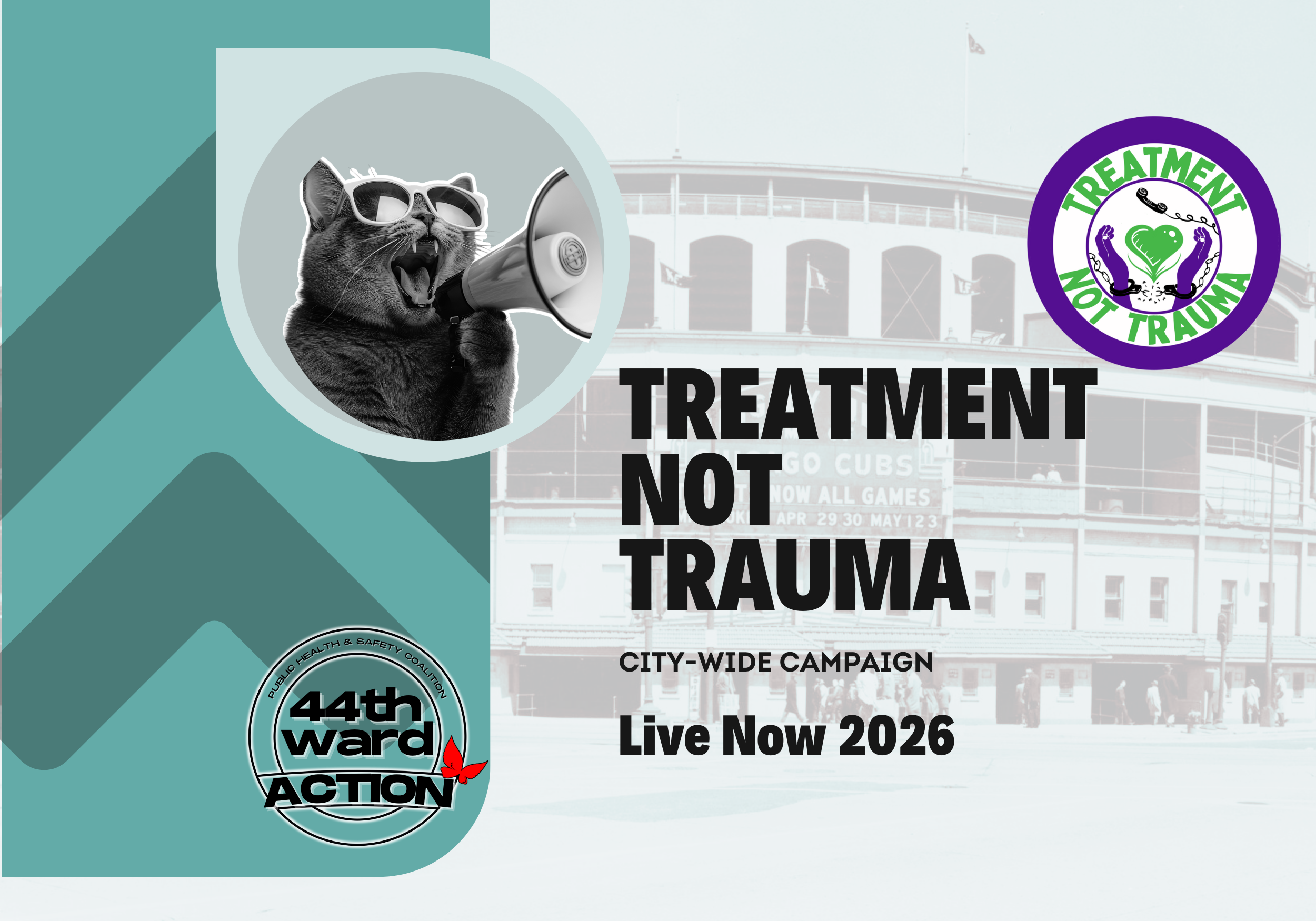 Treatment not trauma City Wide campaign is here