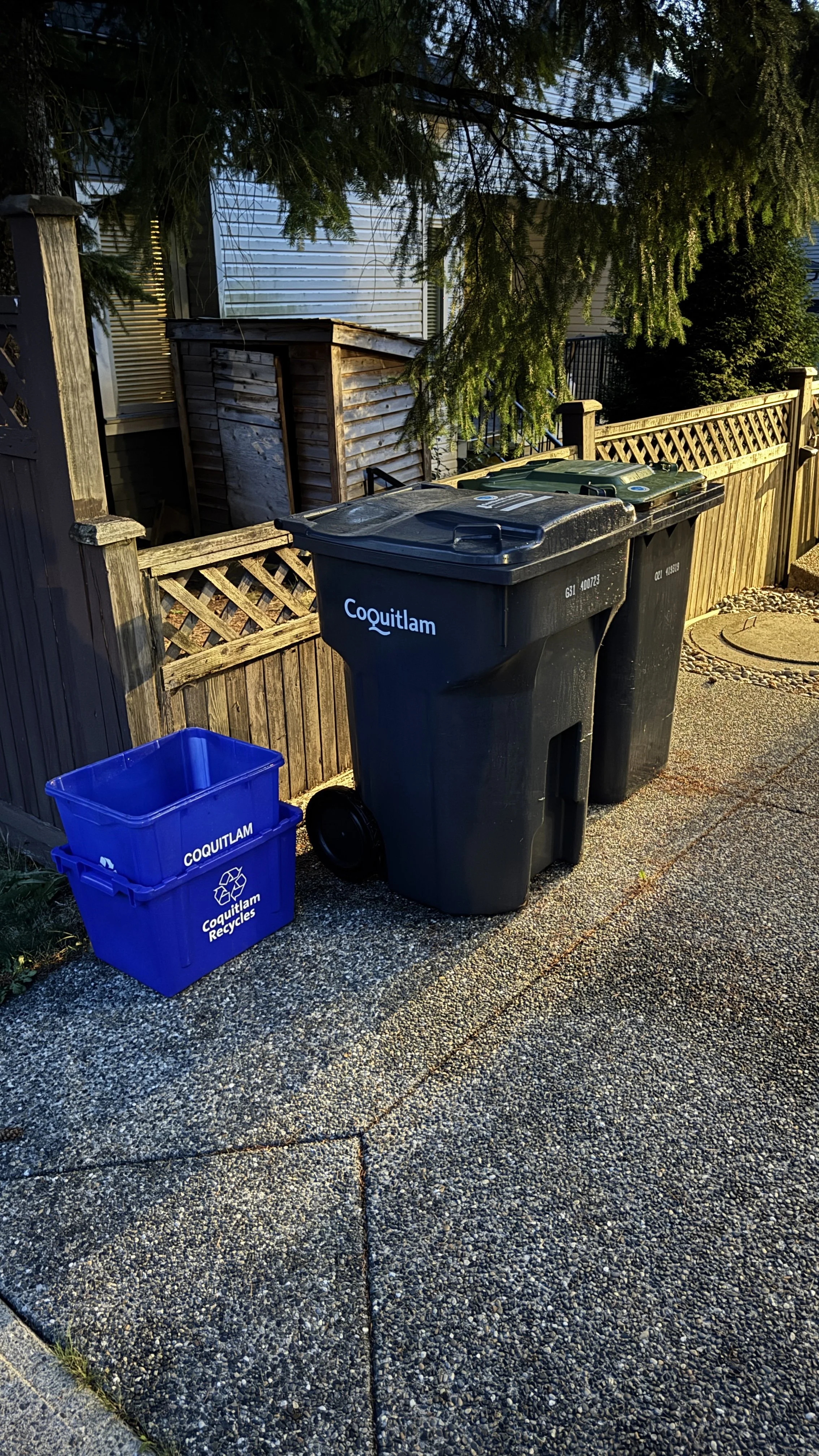 Piles of trash bins on a sidewalk next to a wooden fence with a small tree and house in the background.