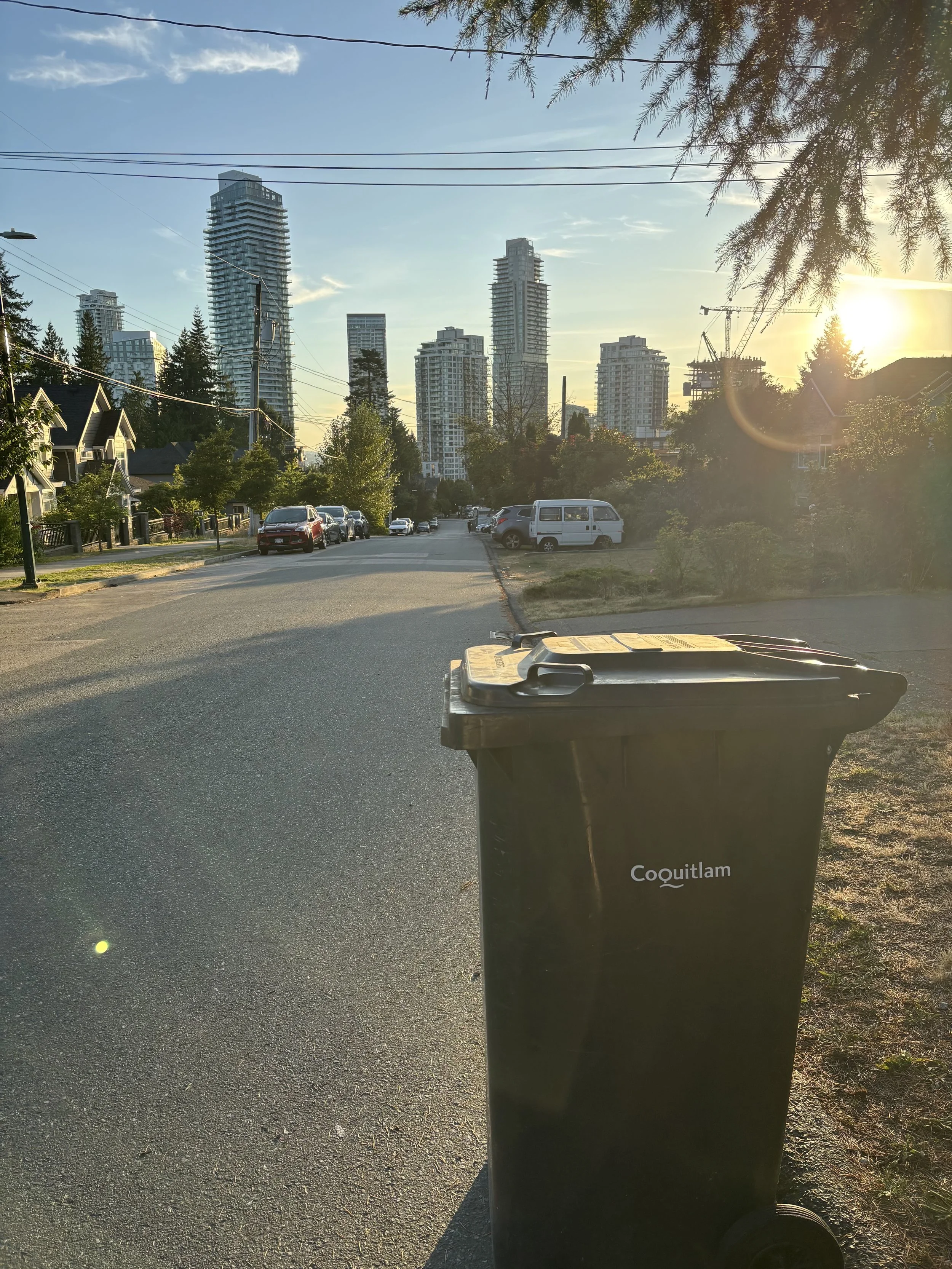 City street with high-rise buildings in the background, parked cars along the street, a trash bin labeled 'Coquitlam' in the foreground, trees lining the sidewalk, and the sun setting with a lens flare.